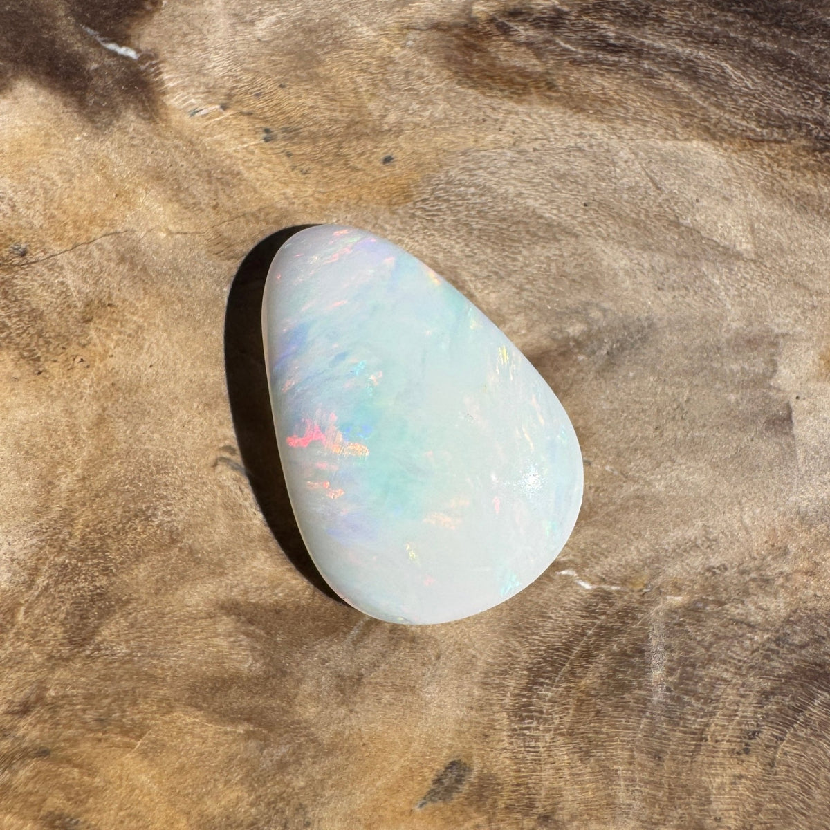 1.7ct Coober Pedy Shell Fossil Opal | Solid Australian Opal | Hand-Cut
