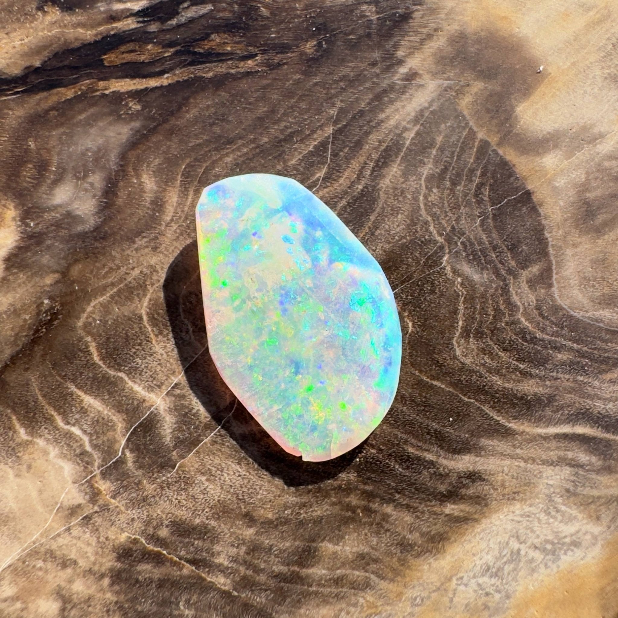 1.8ct Hand - cut Solid Coober Pedy Opal Shell Fossil