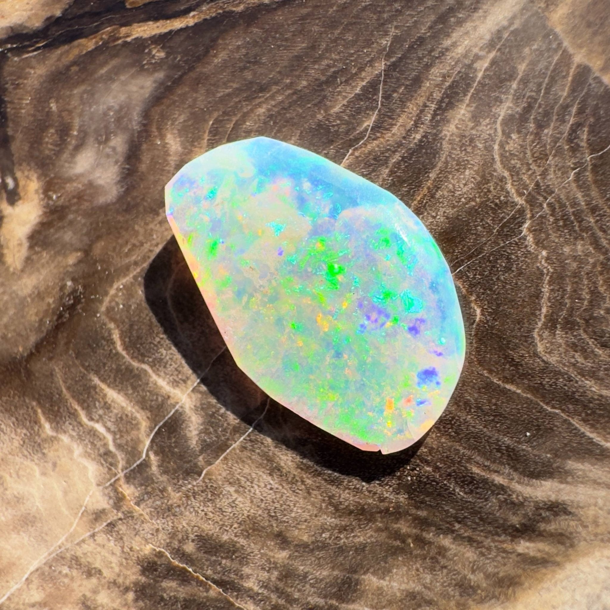 1.8ct Hand - cut Solid Coober Pedy Opal Shell Fossil