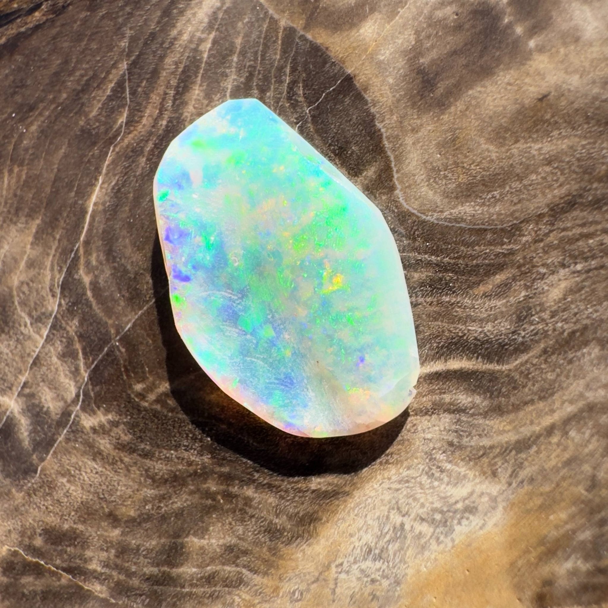 1.8ct Hand - cut Solid Coober Pedy Opal Shell Fossil