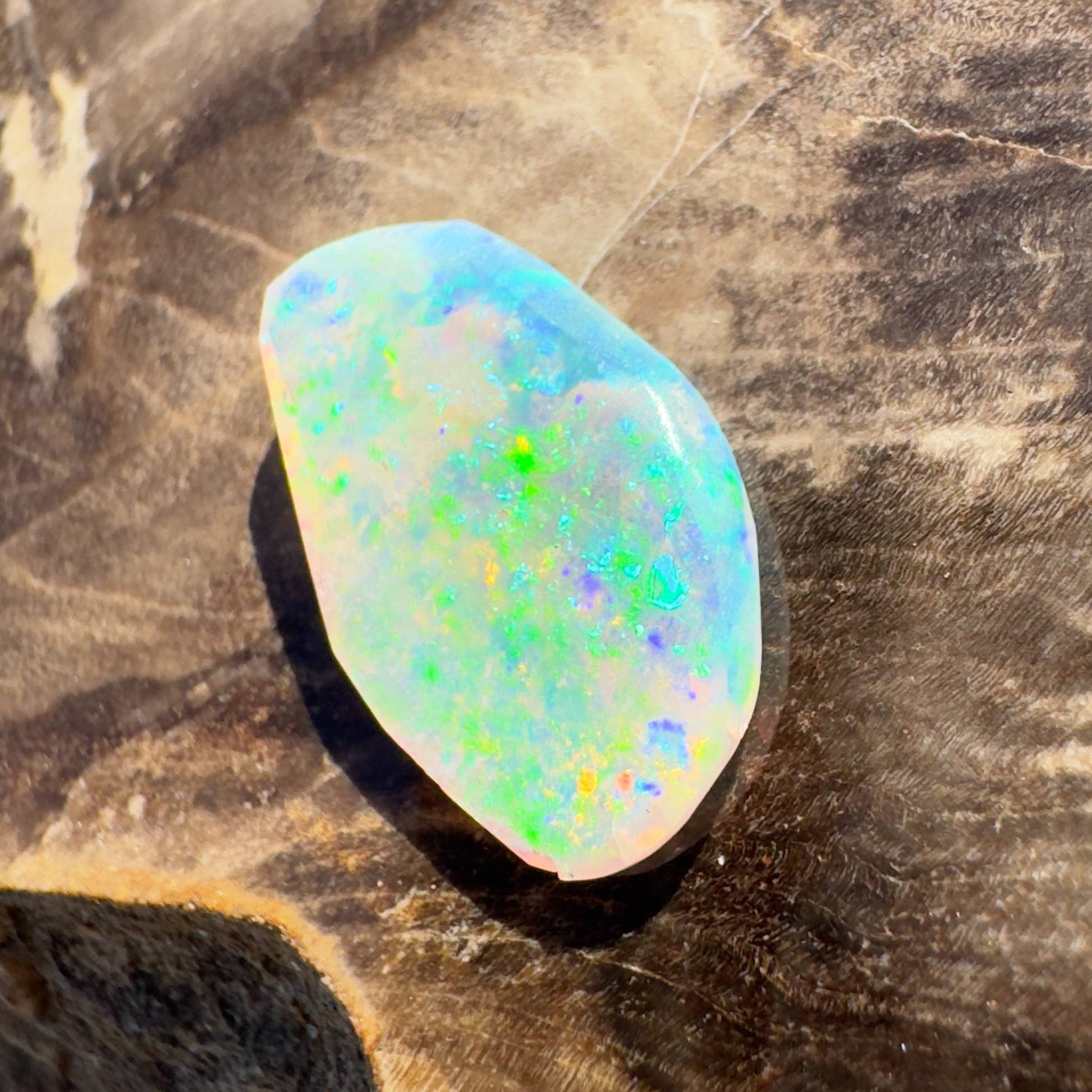 1.8ct Hand - cut Solid Coober Pedy Opal Shell Fossil