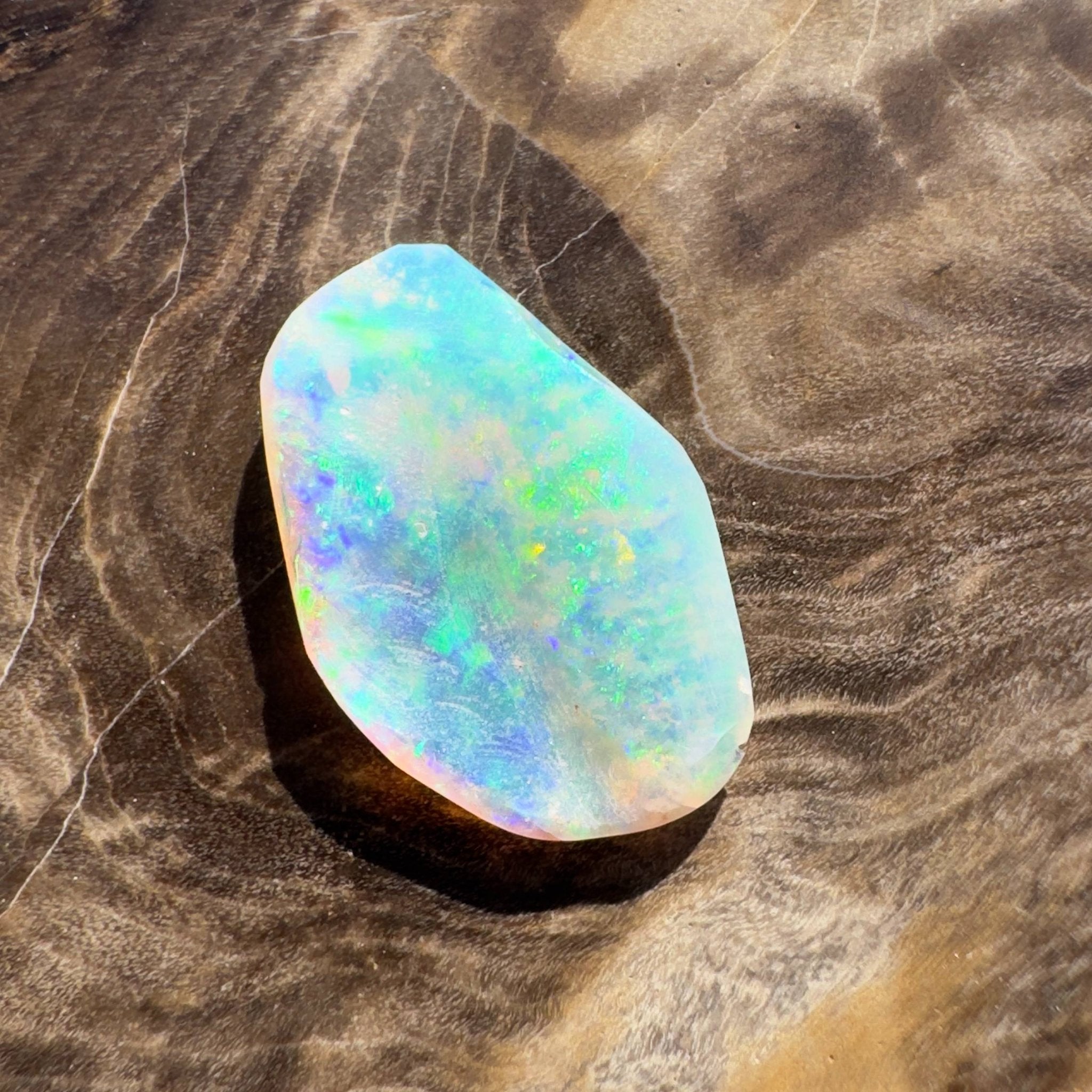 1.8ct Hand - cut Solid Coober Pedy Opal Shell Fossil