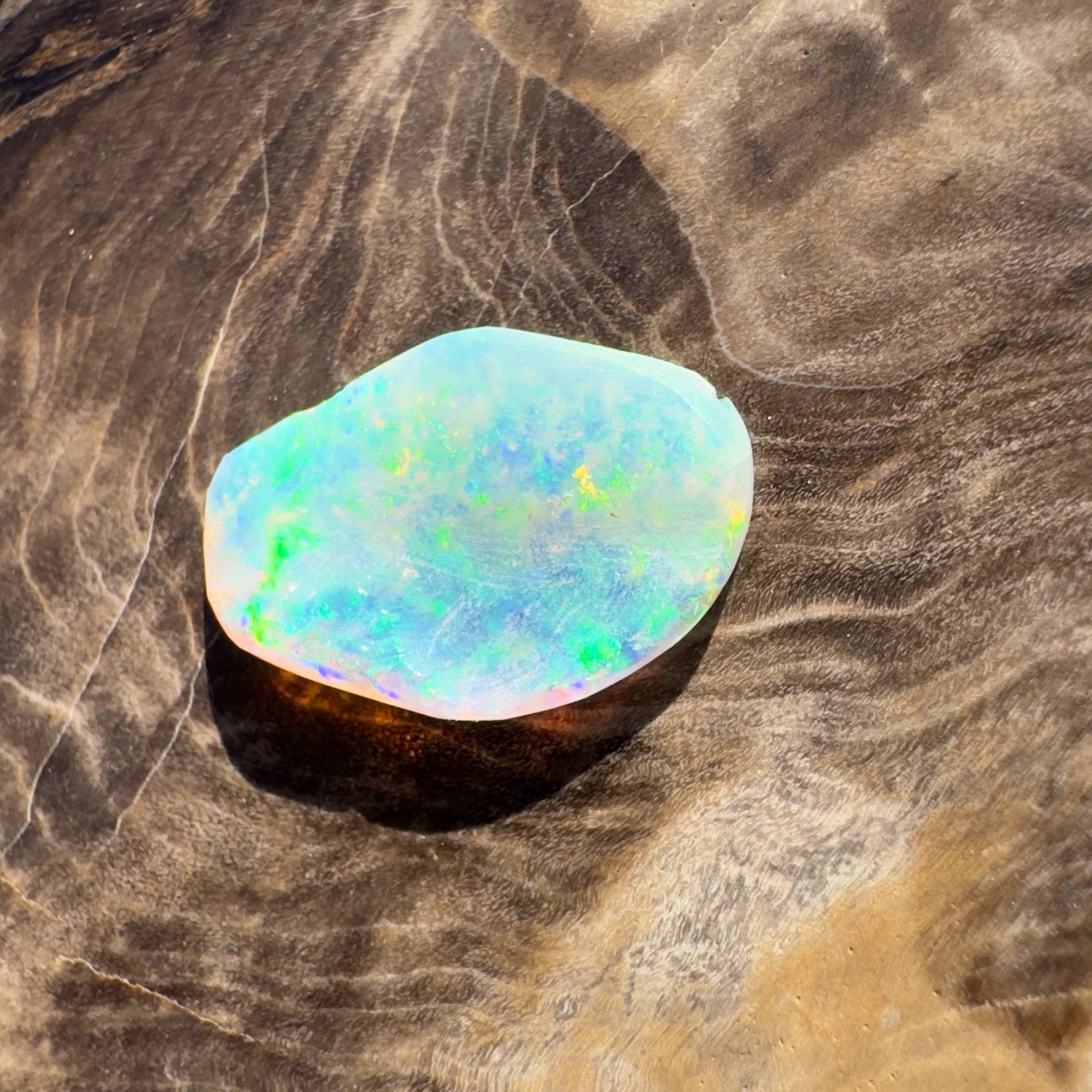 1.8ct Hand - cut Solid Coober Pedy Opal Shell Fossil