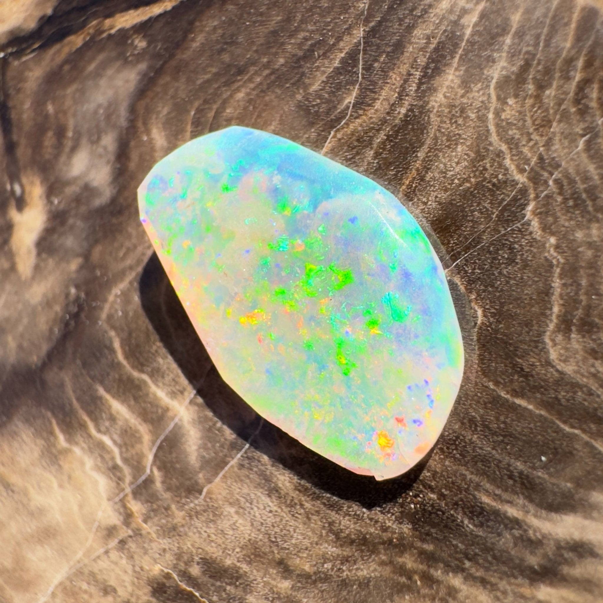 1.8ct Hand - cut Solid Coober Pedy Opal Shell Fossil