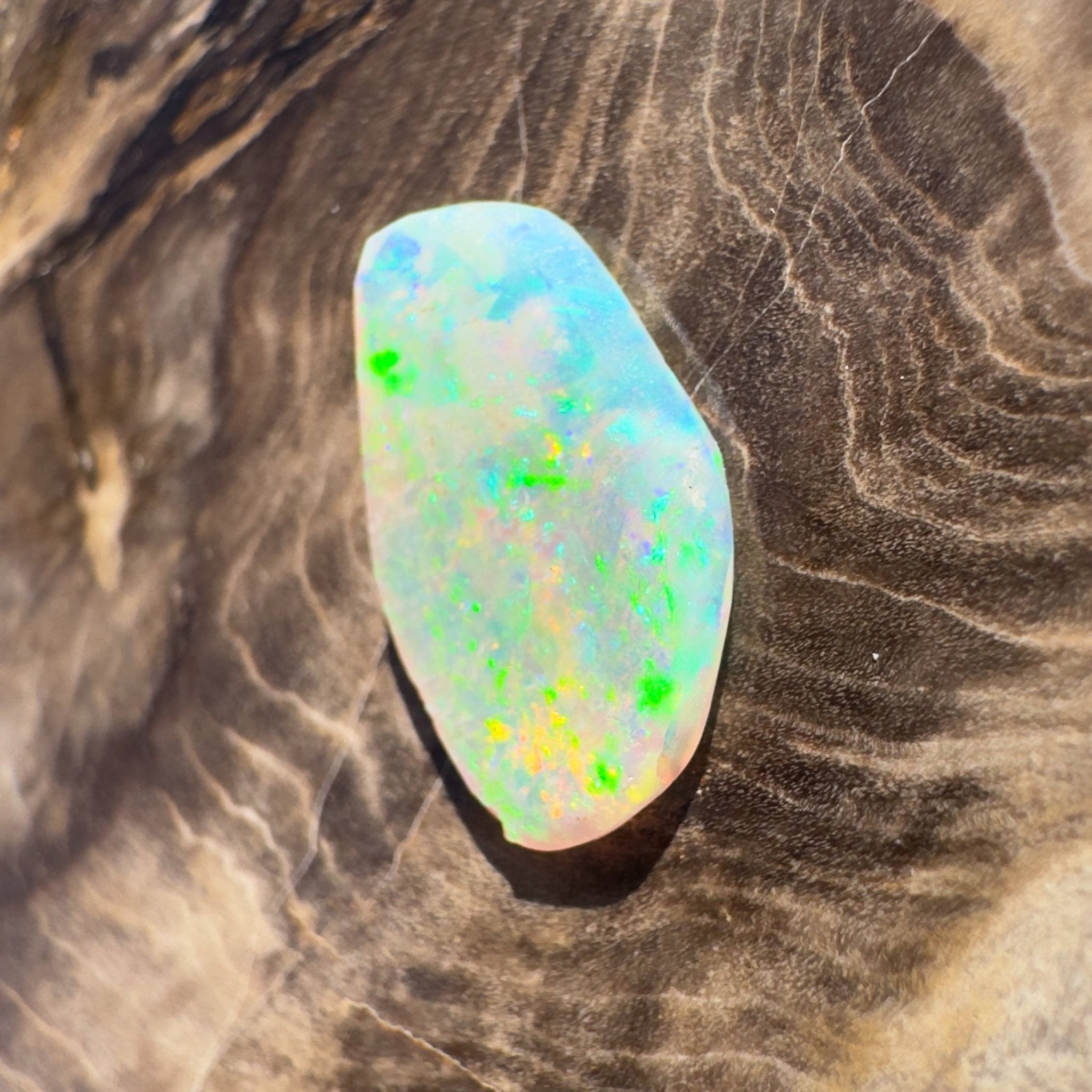1.8ct Hand - cut Solid Coober Pedy Opal Shell Fossil