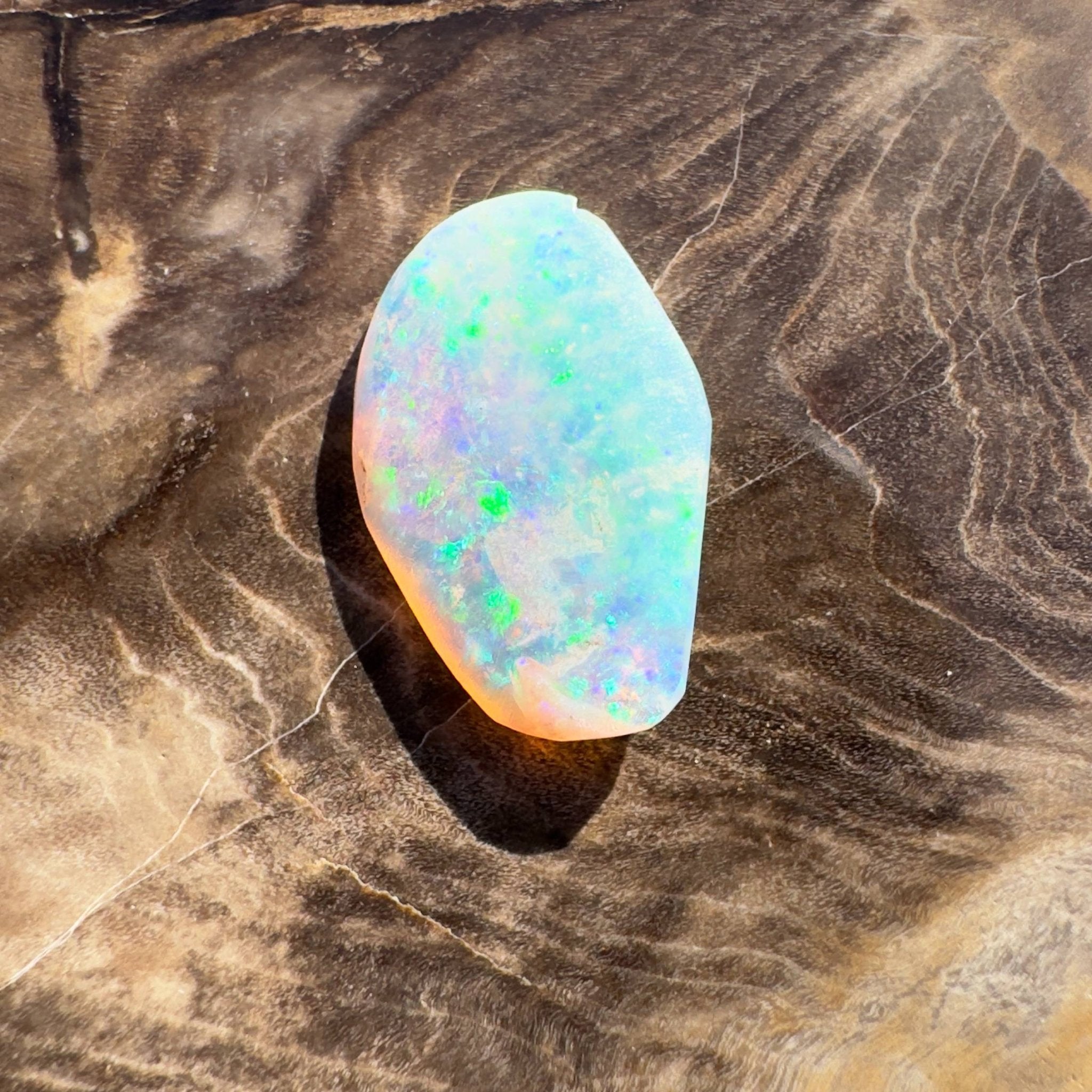 1.8ct Hand - cut Solid Coober Pedy Opal Shell Fossil