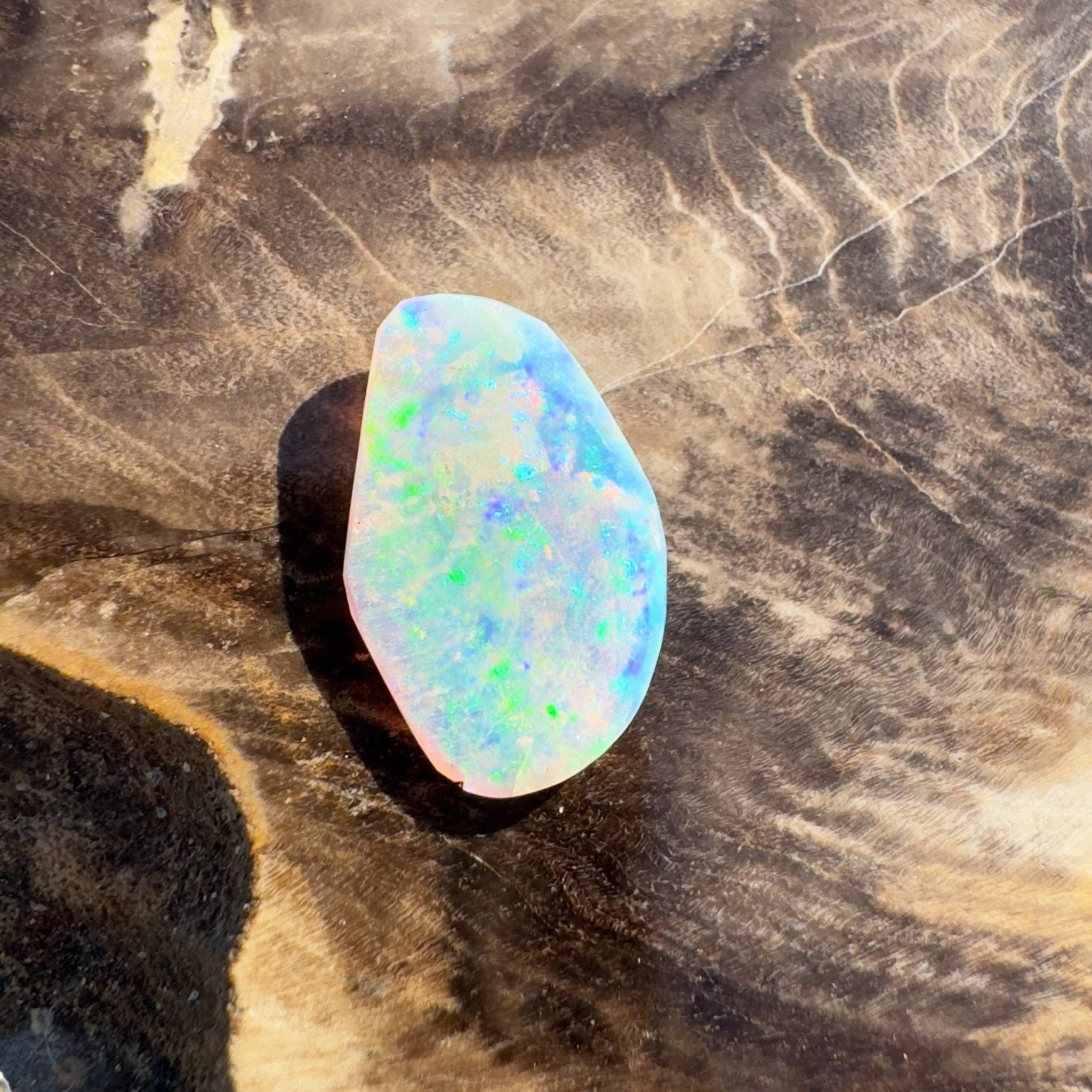 1.8ct Hand - cut Solid Coober Pedy Opal Shell Fossil