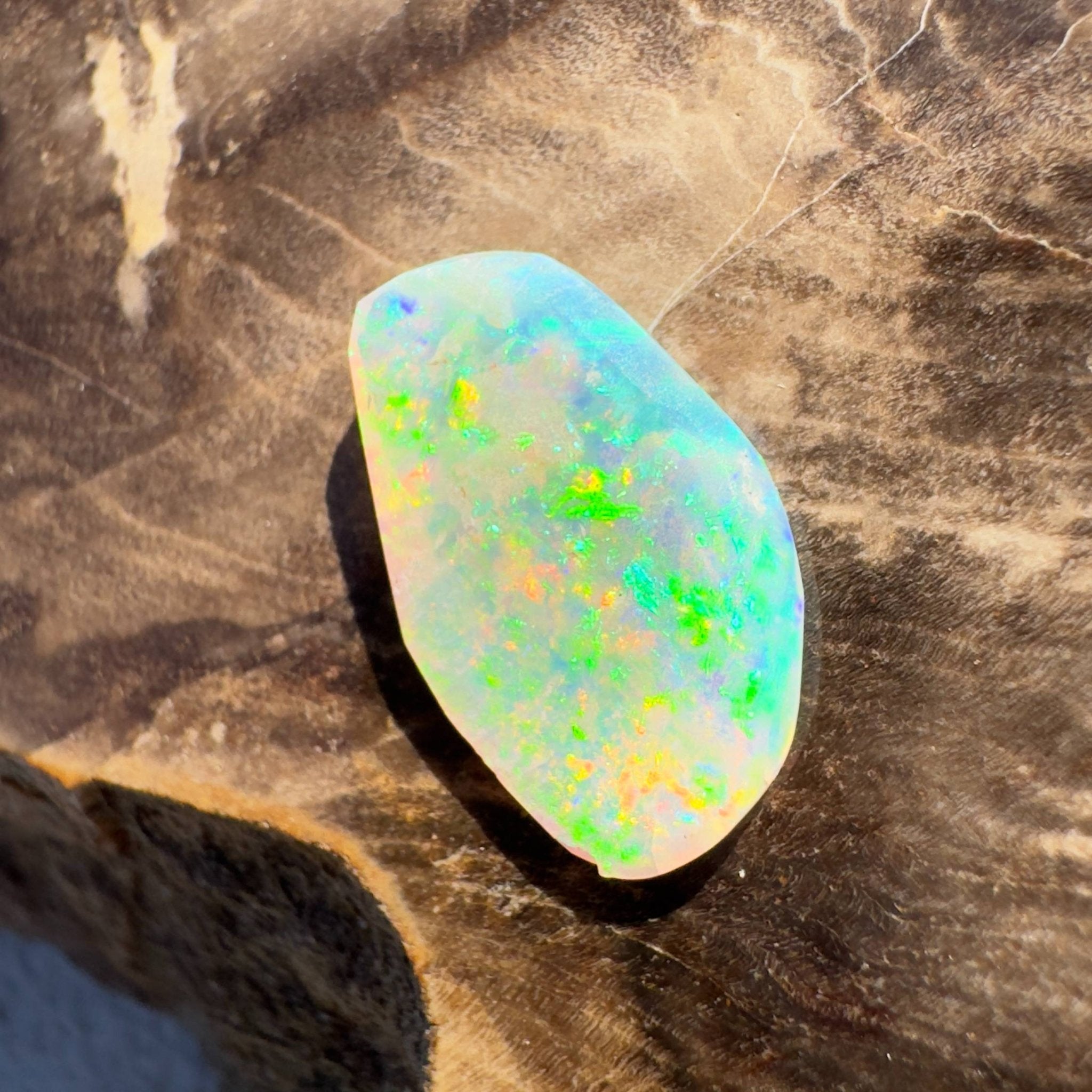 1.8ct Hand - cut Solid Coober Pedy Opal Shell Fossil