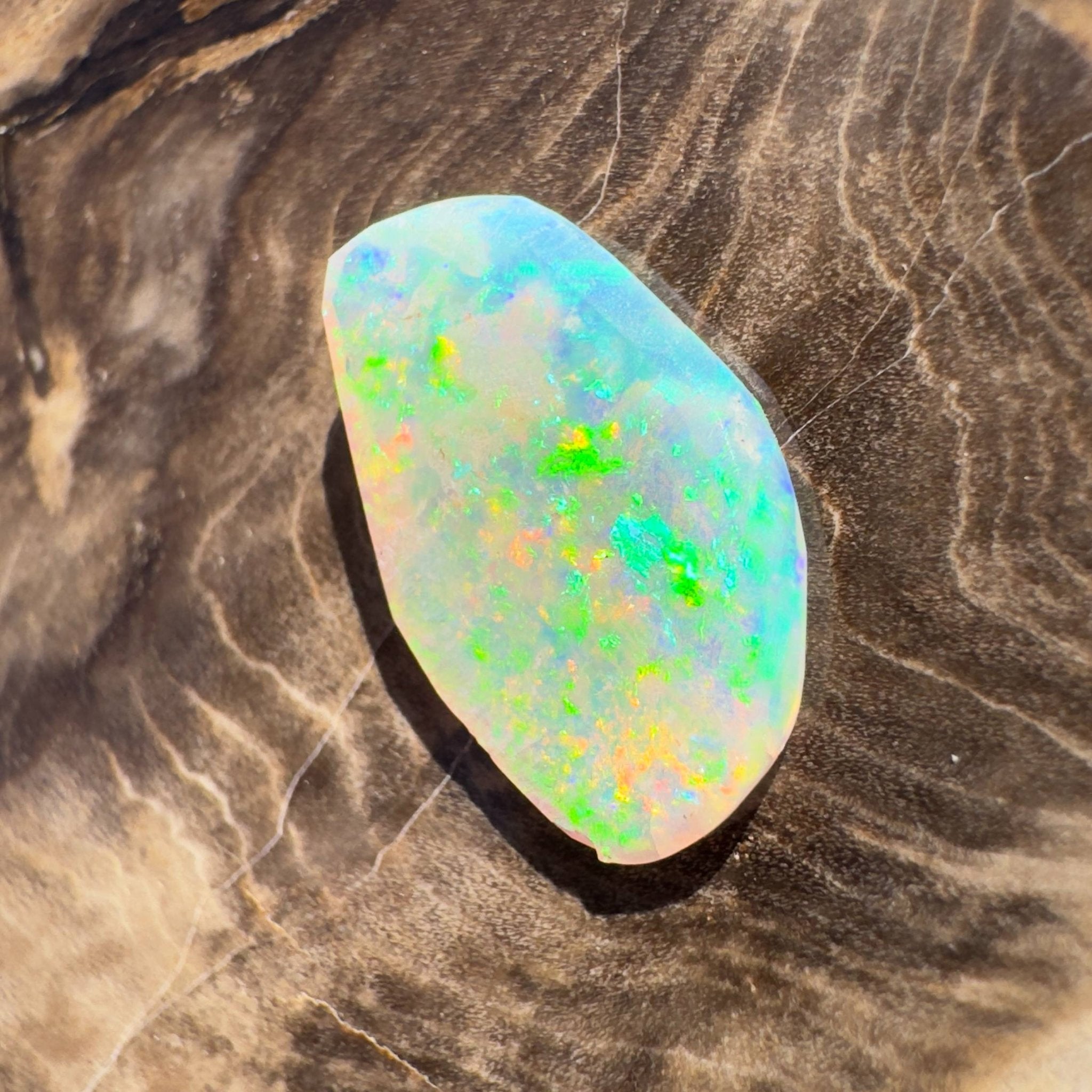 1.8ct Hand - cut Solid Coober Pedy Opal Shell Fossil