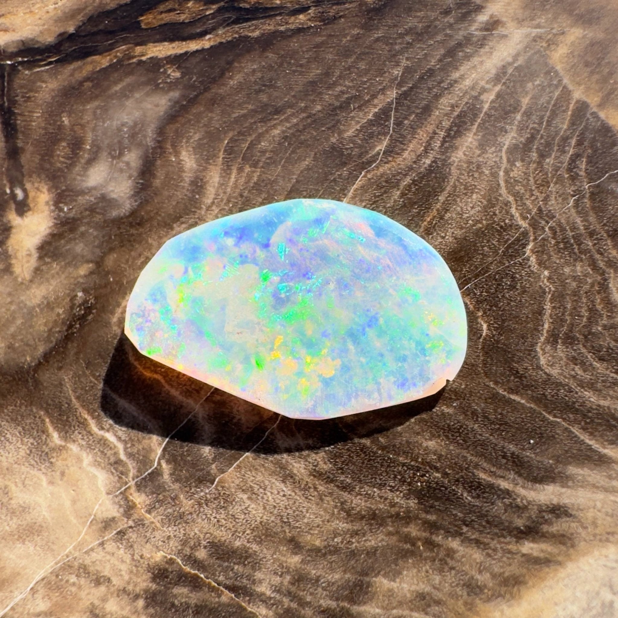 1.8ct Hand - cut Solid Coober Pedy Opal Shell Fossil