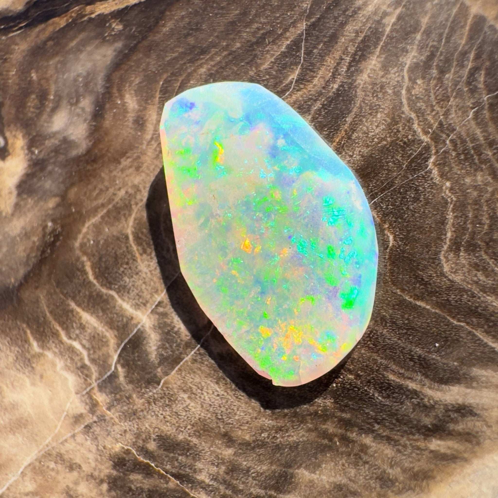 1.8ct Hand - cut Solid Coober Pedy Opal Shell Fossil