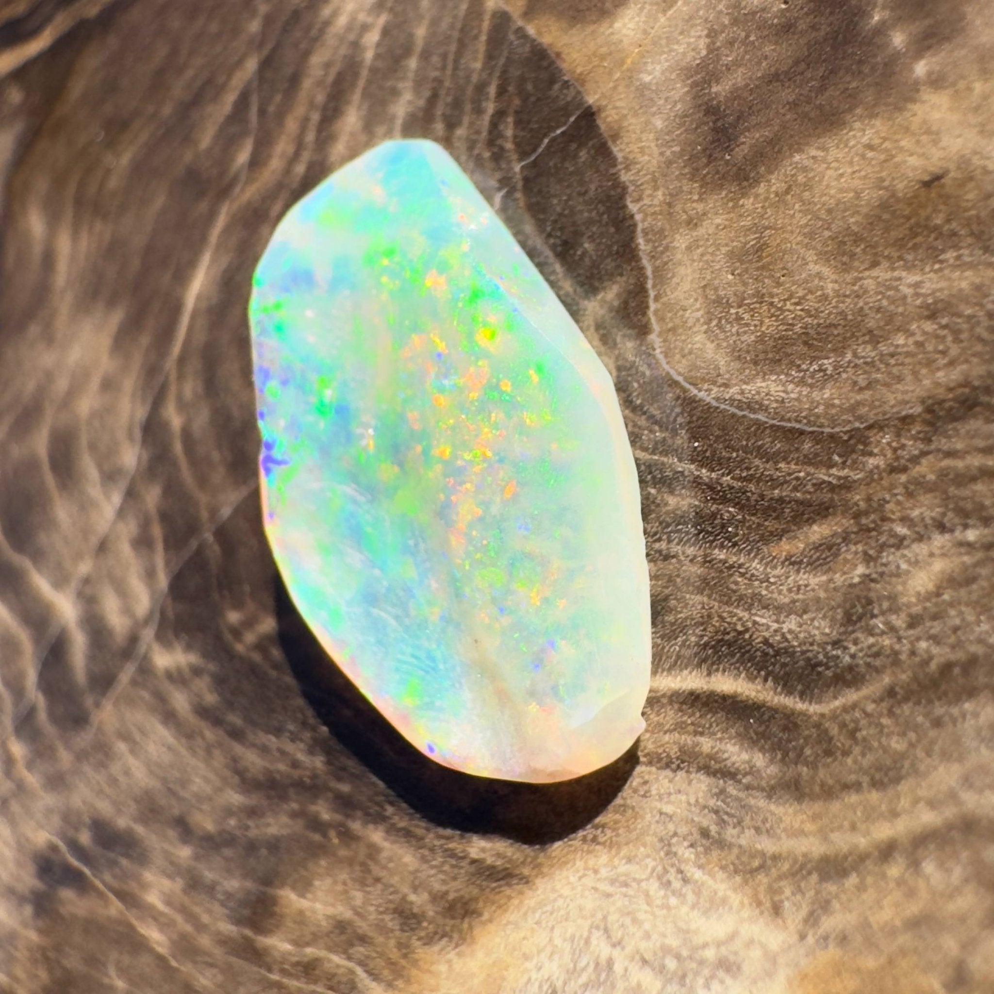 1.8ct Hand - cut Solid Coober Pedy Opal Shell Fossil