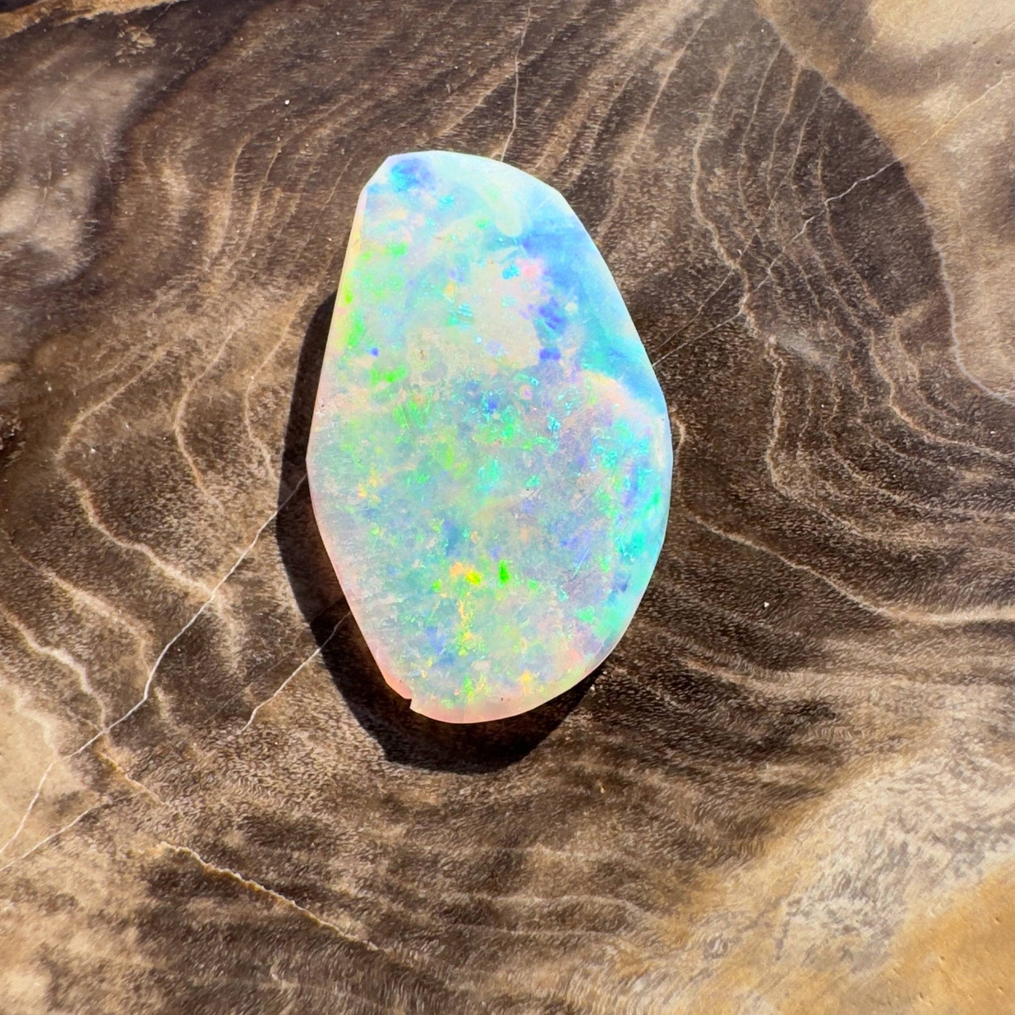 1.8ct Hand - cut Solid Coober Pedy Opal Shell Fossil