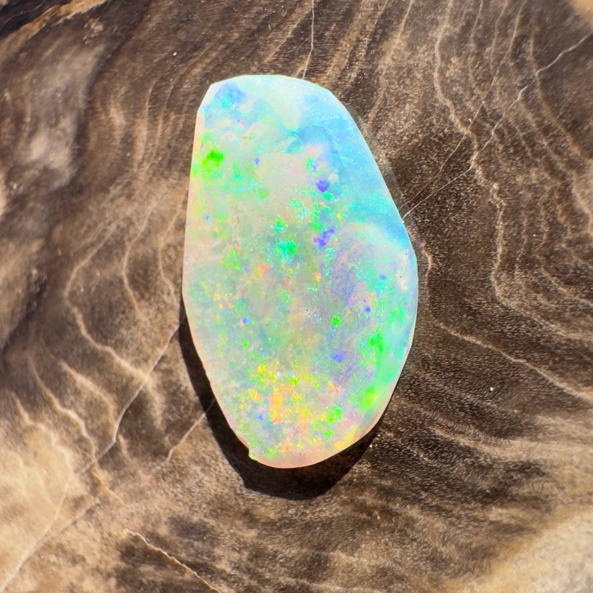 1.8ct Hand - cut Solid Coober Pedy Opal Shell Fossil