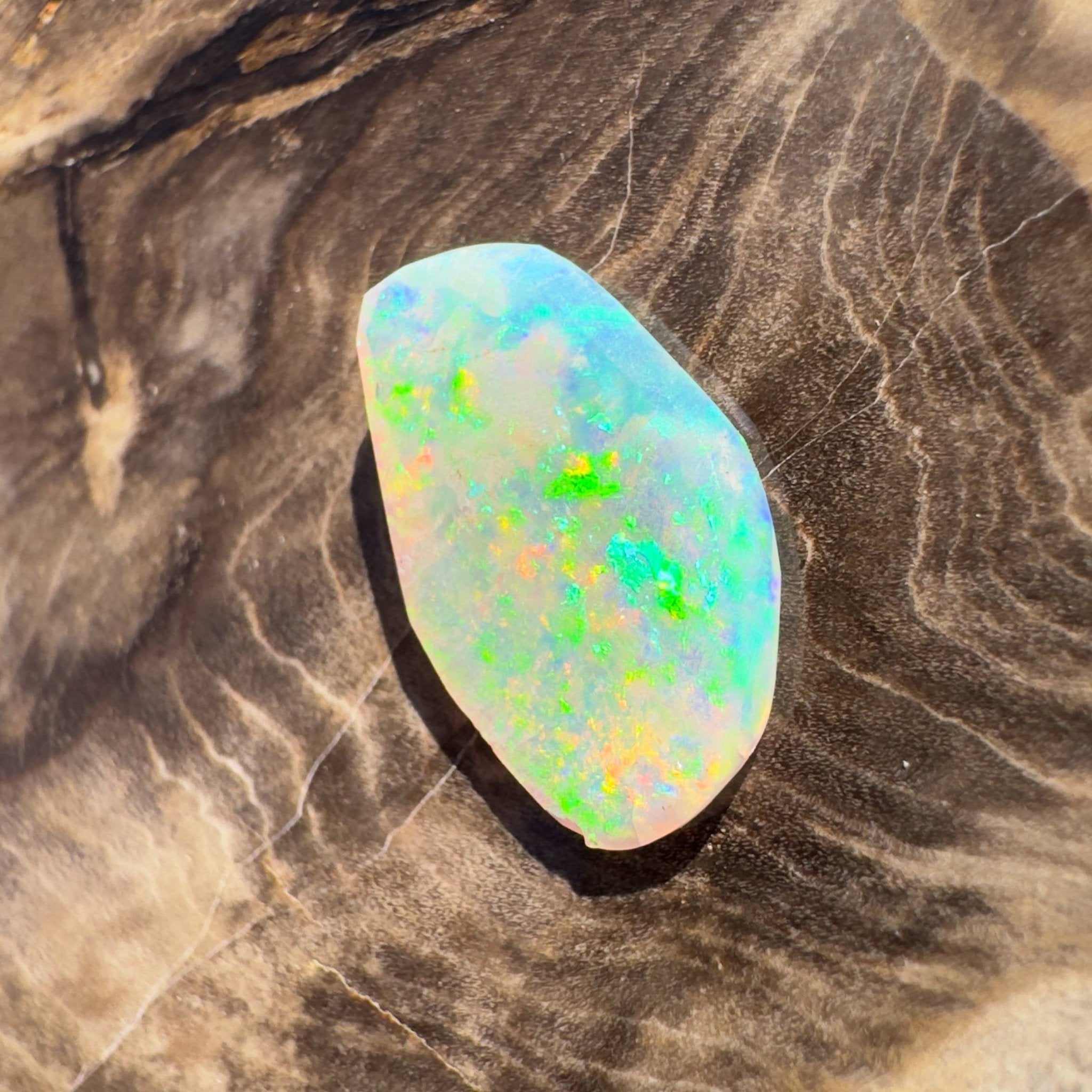 1.8ct Hand - cut Solid Coober Pedy Opal Shell Fossil