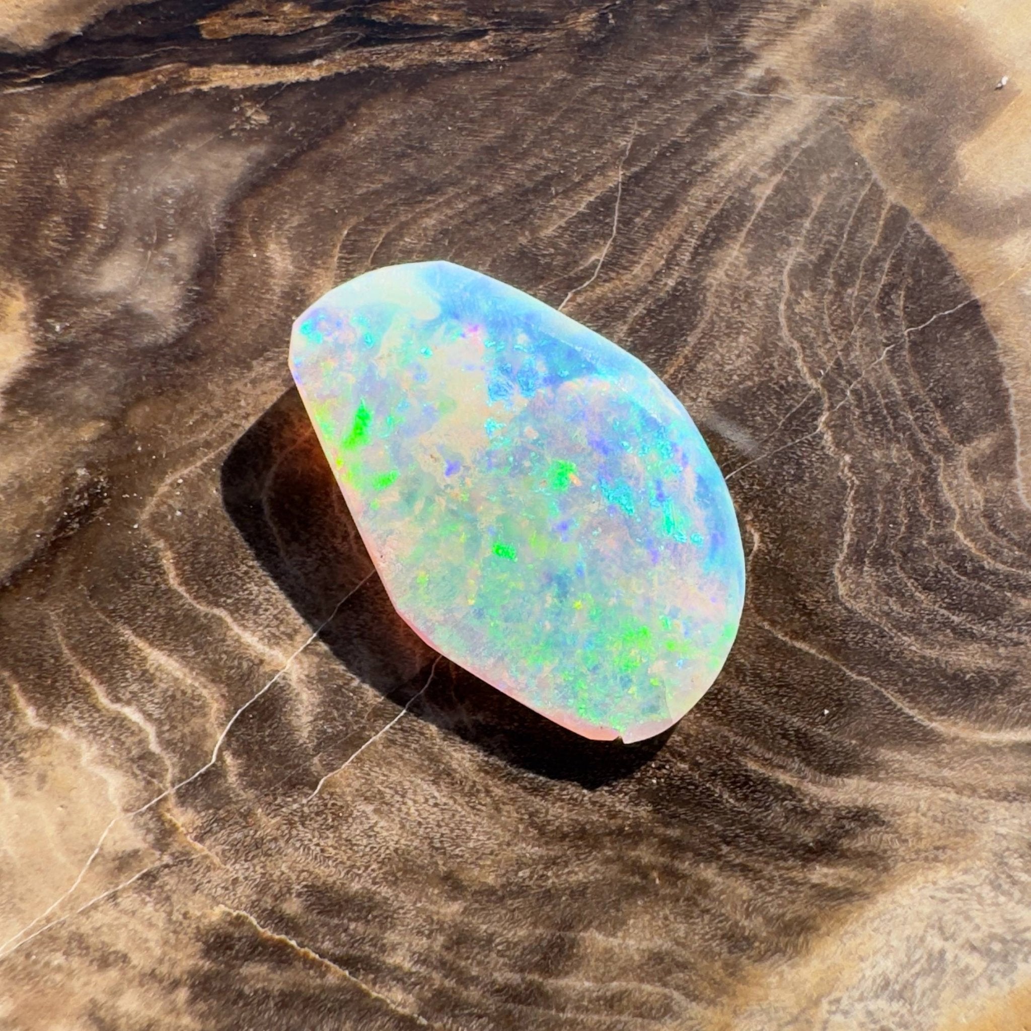 1.8ct Hand - cut Solid Coober Pedy Opal Shell Fossil