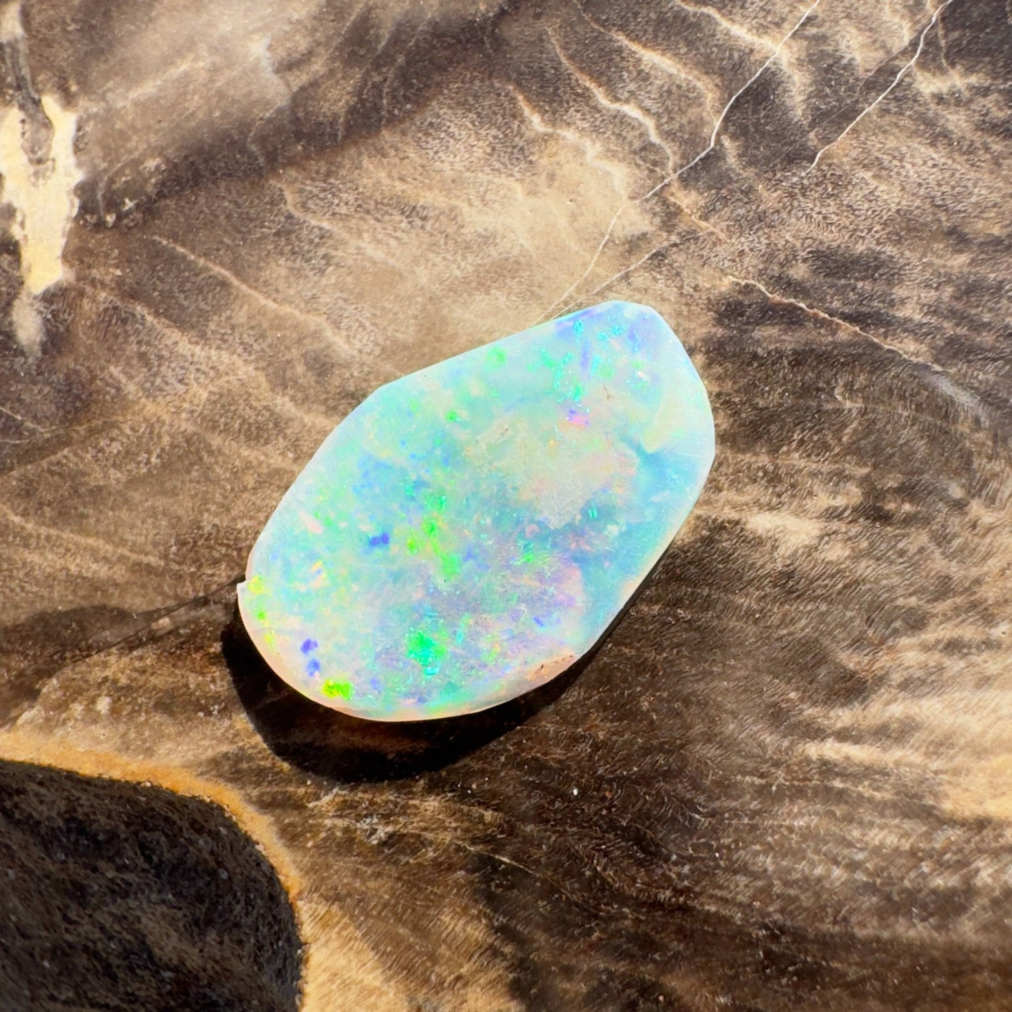 1.8ct Hand - cut Solid Coober Pedy Opal Shell Fossil