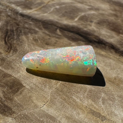 Coober Pedy Belemnite Opal (Fossilised Squid) 2.6carat Solid - Iona Opal Australia