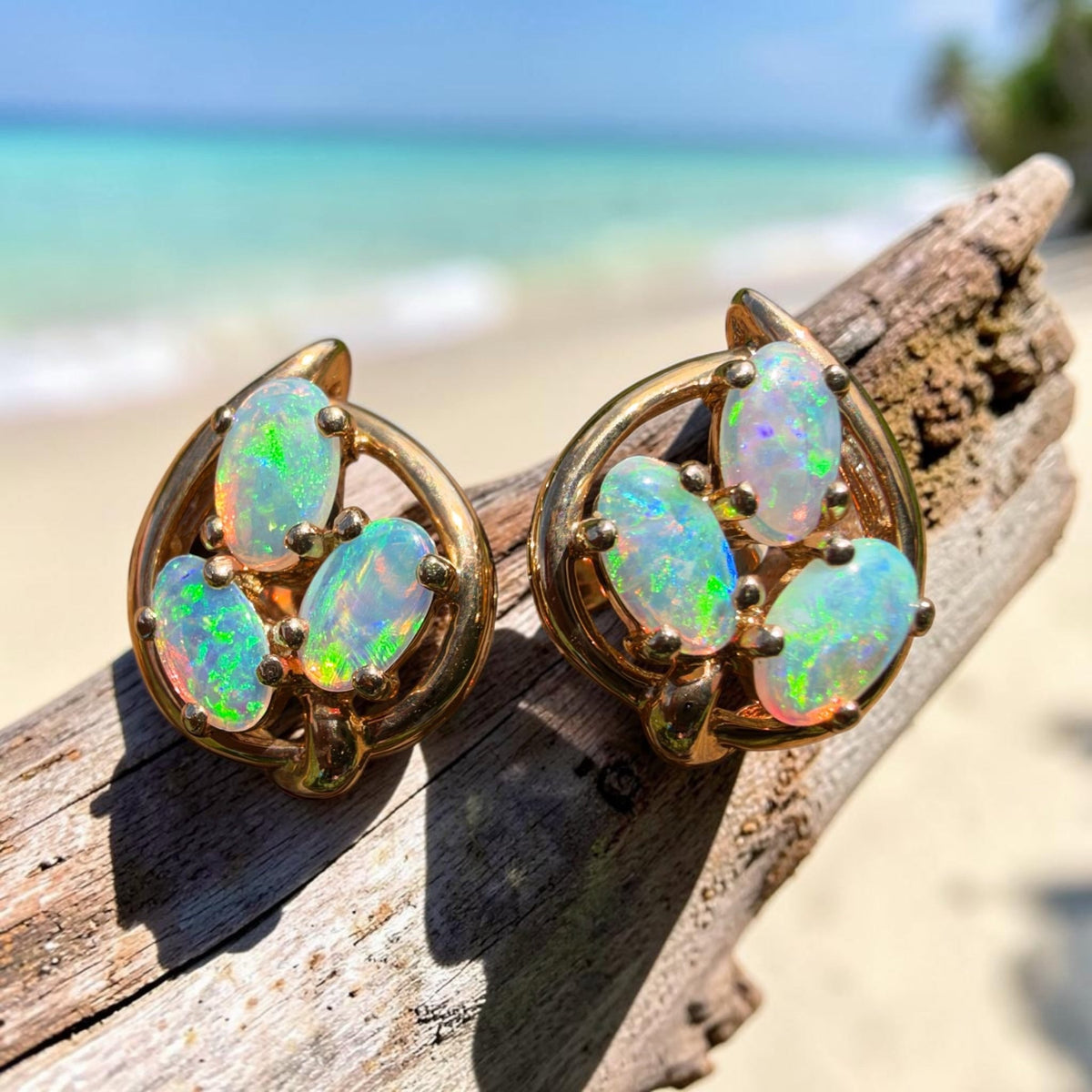 1ct Lightning Ridge Opal Cluster Stud Earrings ~ 'Deloraine Cluster' | 14ct Yellow Gold | Solid Australian Opal