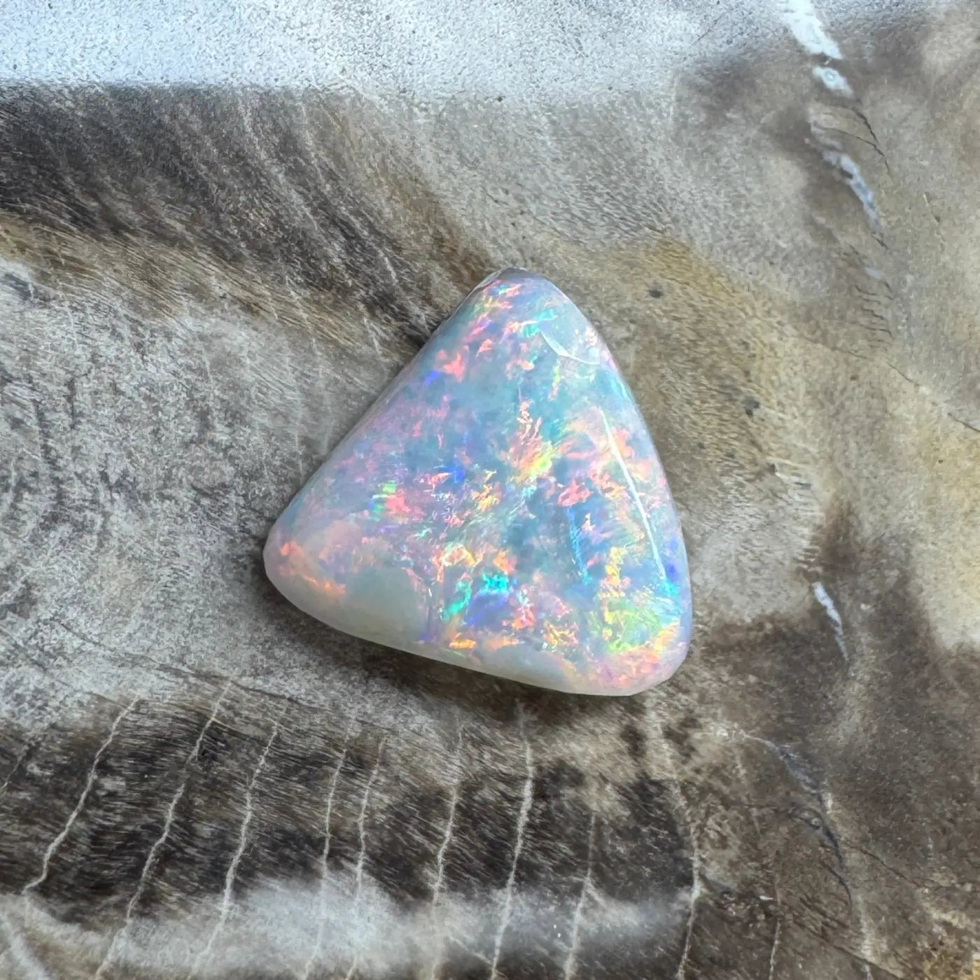 Iridescent triangular Lightning Ridge semi black opal with vibrant play of colors