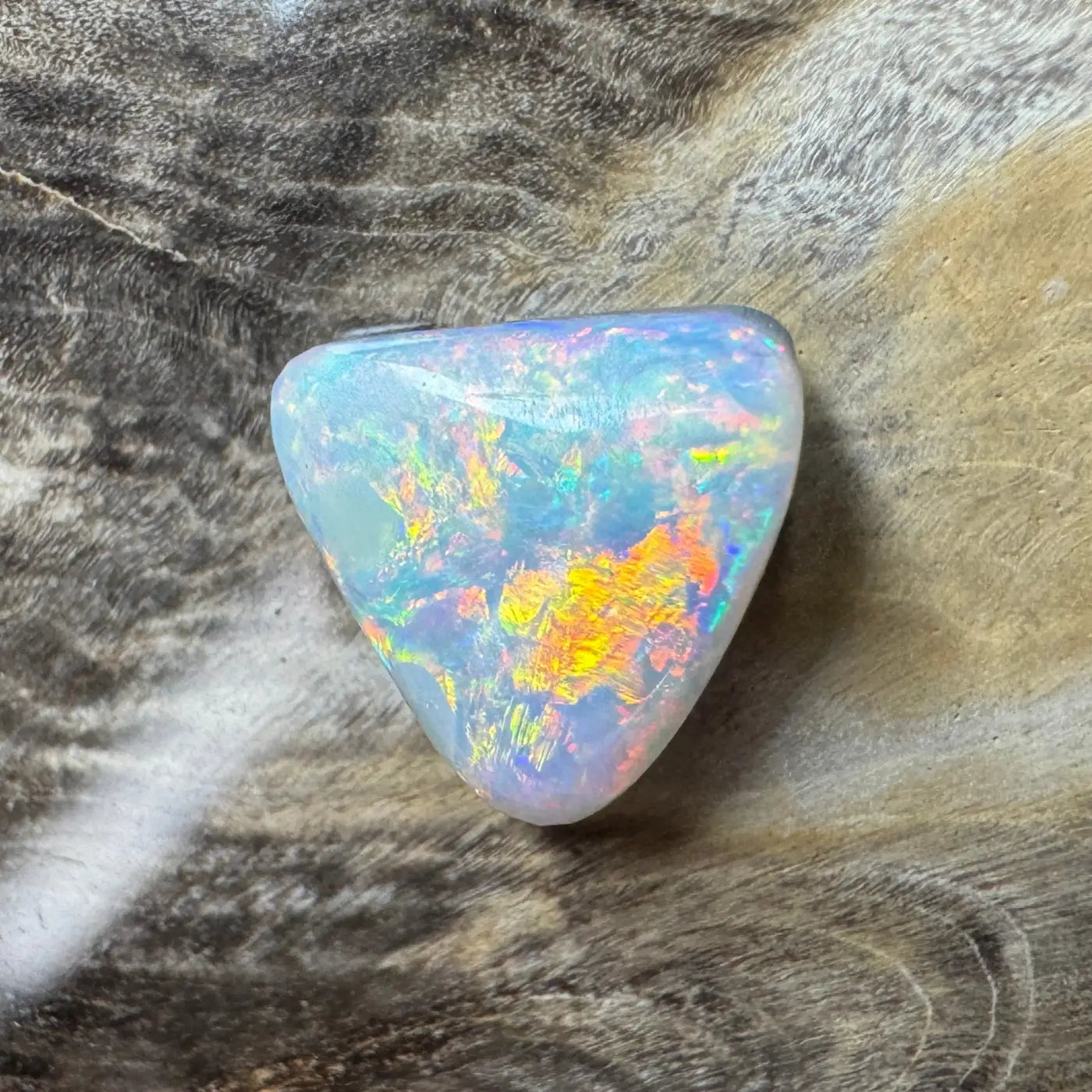 Iridescent triangular Lightning Ridge semi-black opal showcasing vivid color play and craftsmanship