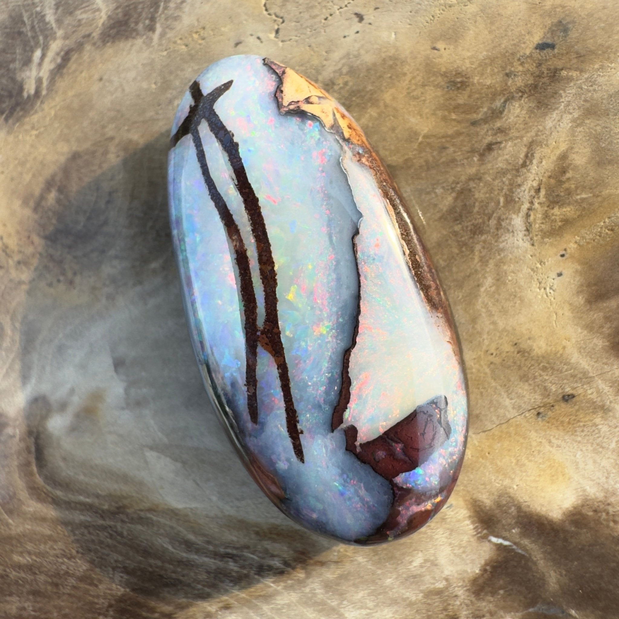 20.3ct Solid Queensland Boulder Opal