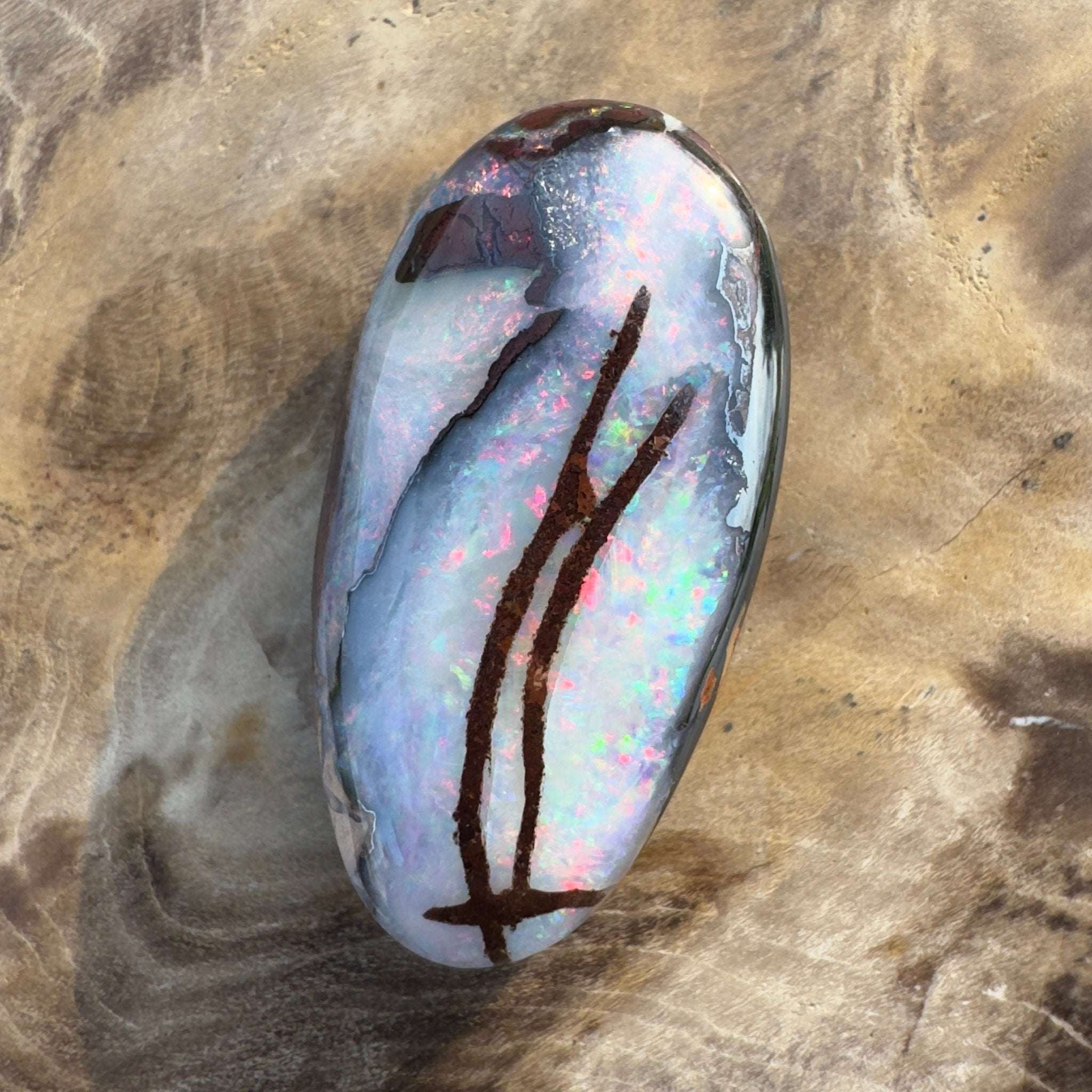 20.3ct Solid Queensland Boulder Opal