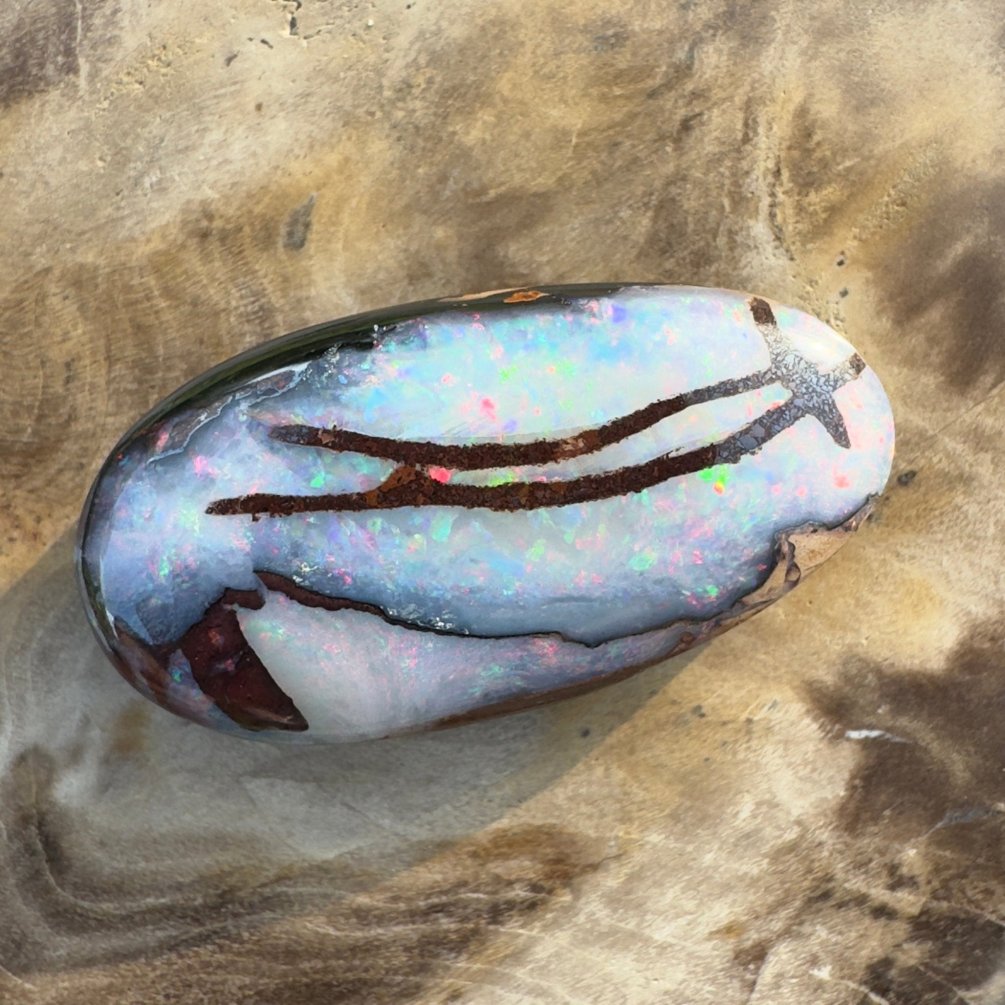 20.3ct Solid Queensland Boulder Opal