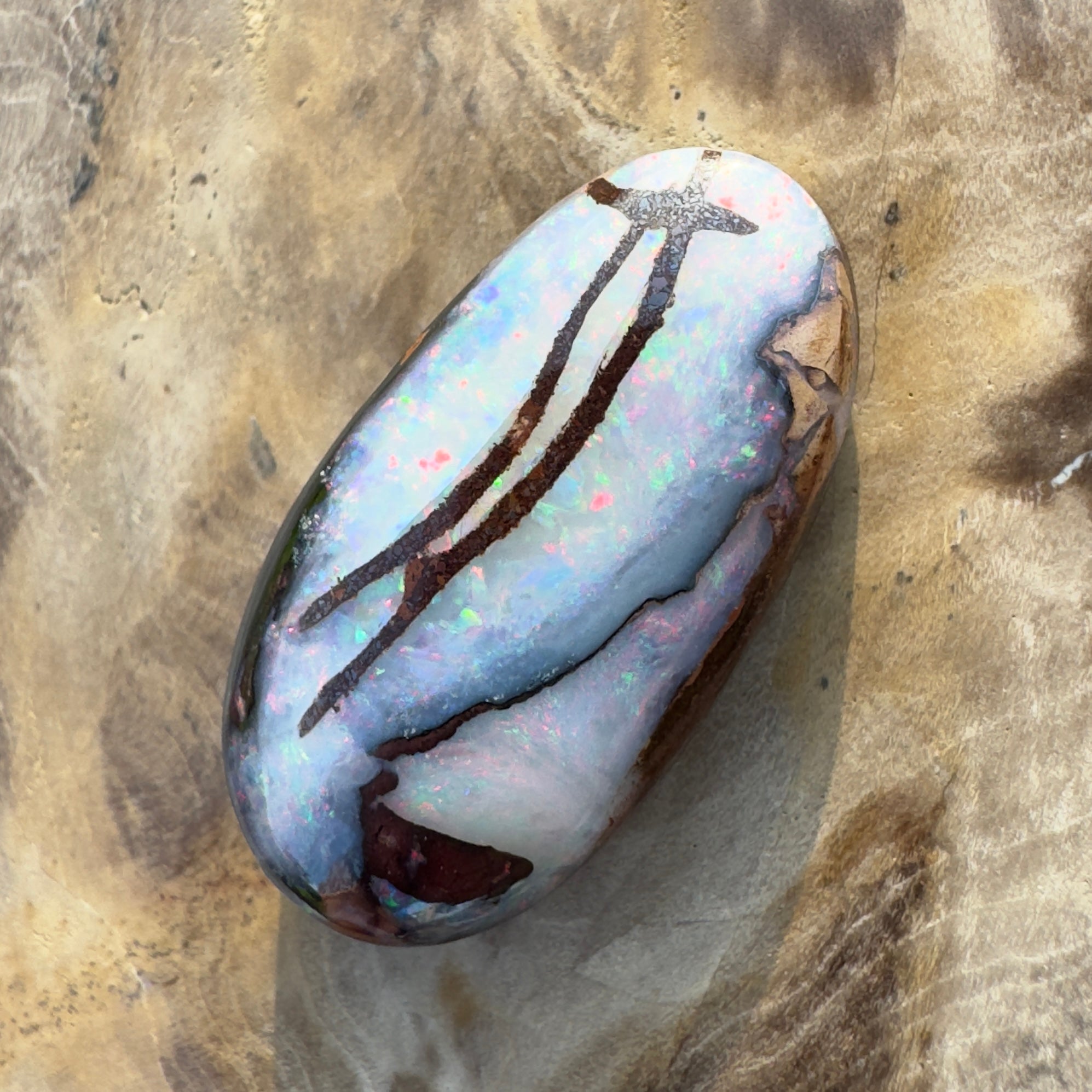 20.3ct Solid Queensland Boulder Opal