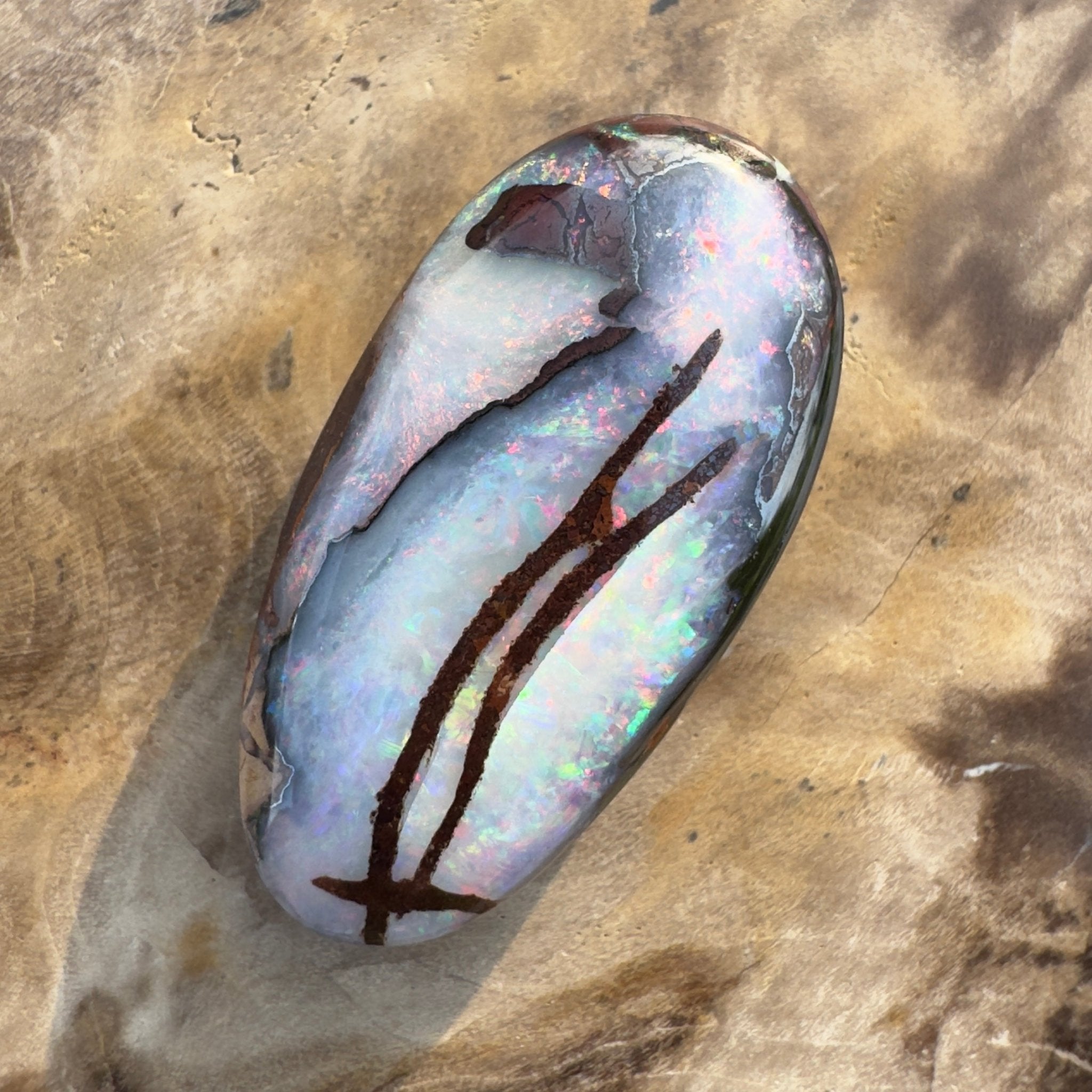 20.3ct Solid Queensland Boulder Opal