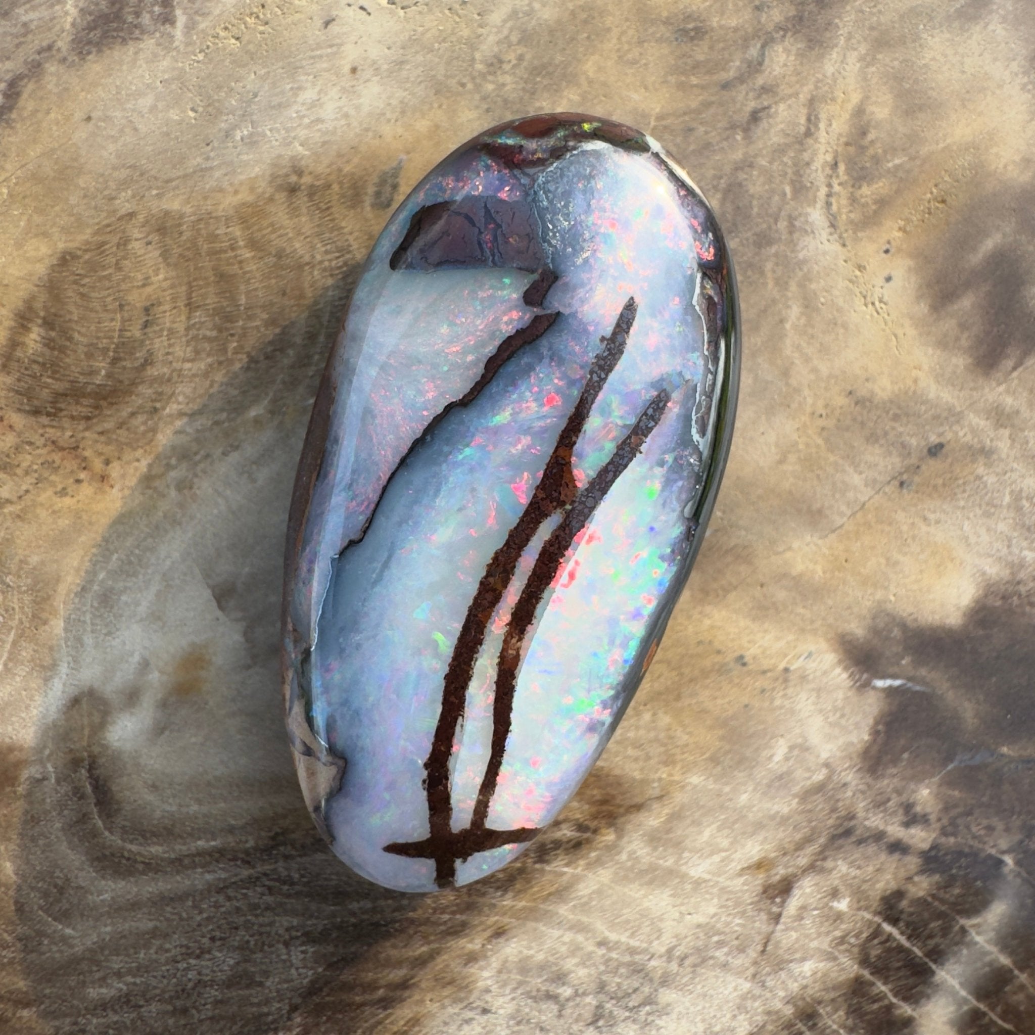 20.3ct Solid Queensland Boulder Opal