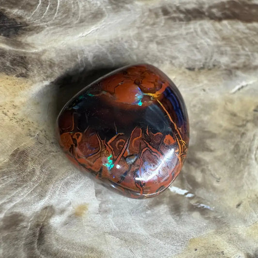 Polished 24.9 carat Queensland Boulder Opal with vibrant color play and unique pattern