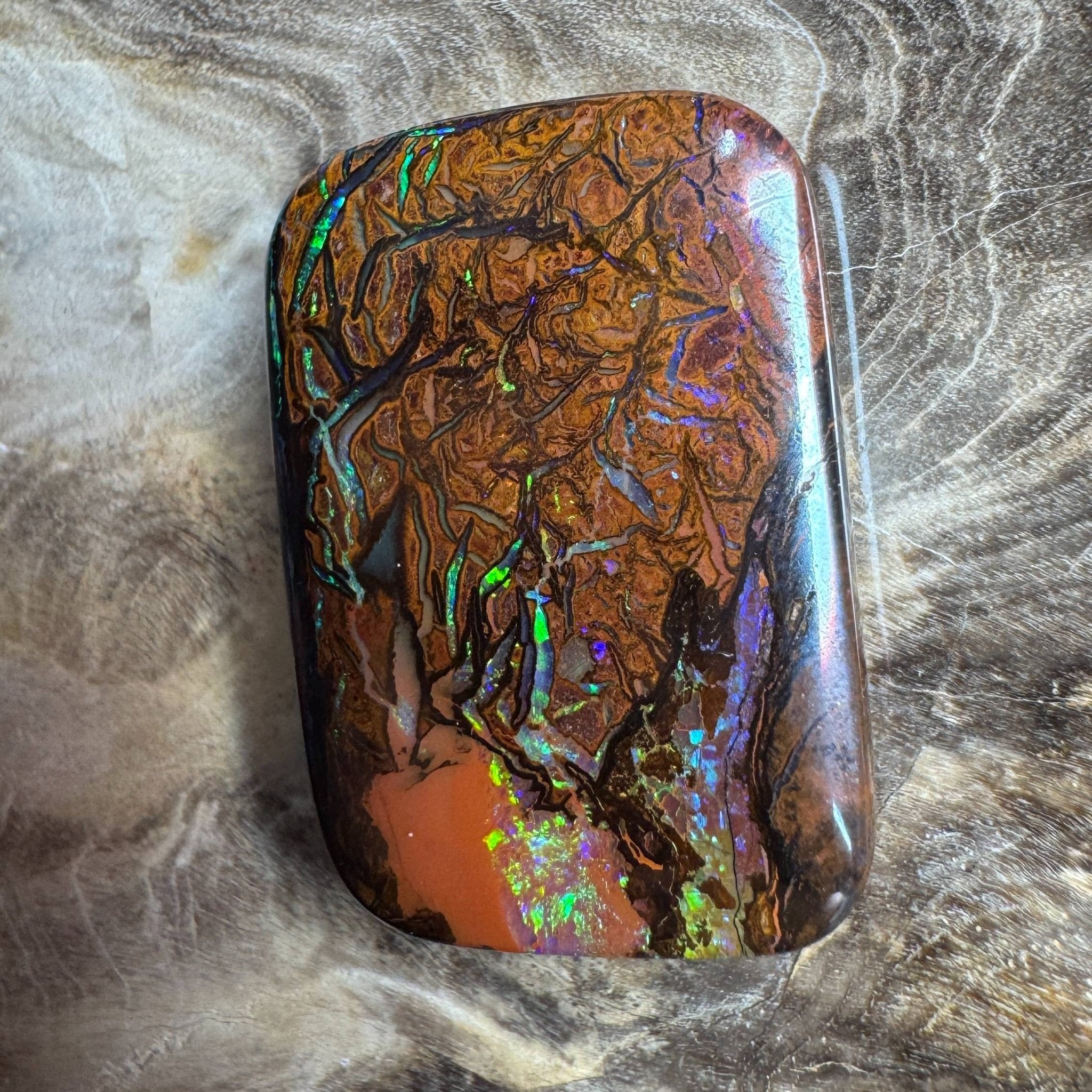 24.6ct Queensland Boulder Opal