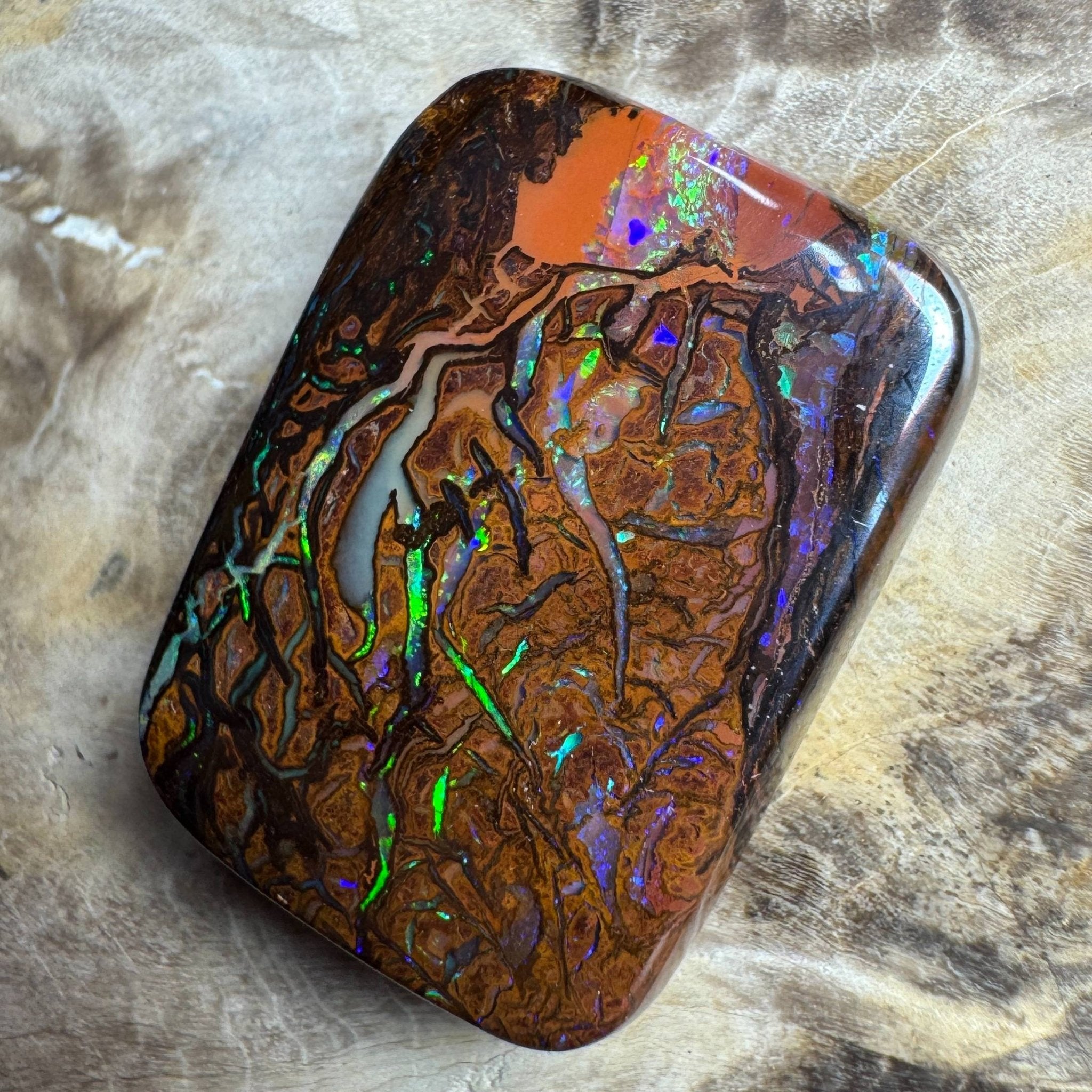24.6ct Queensland Boulder Opal
