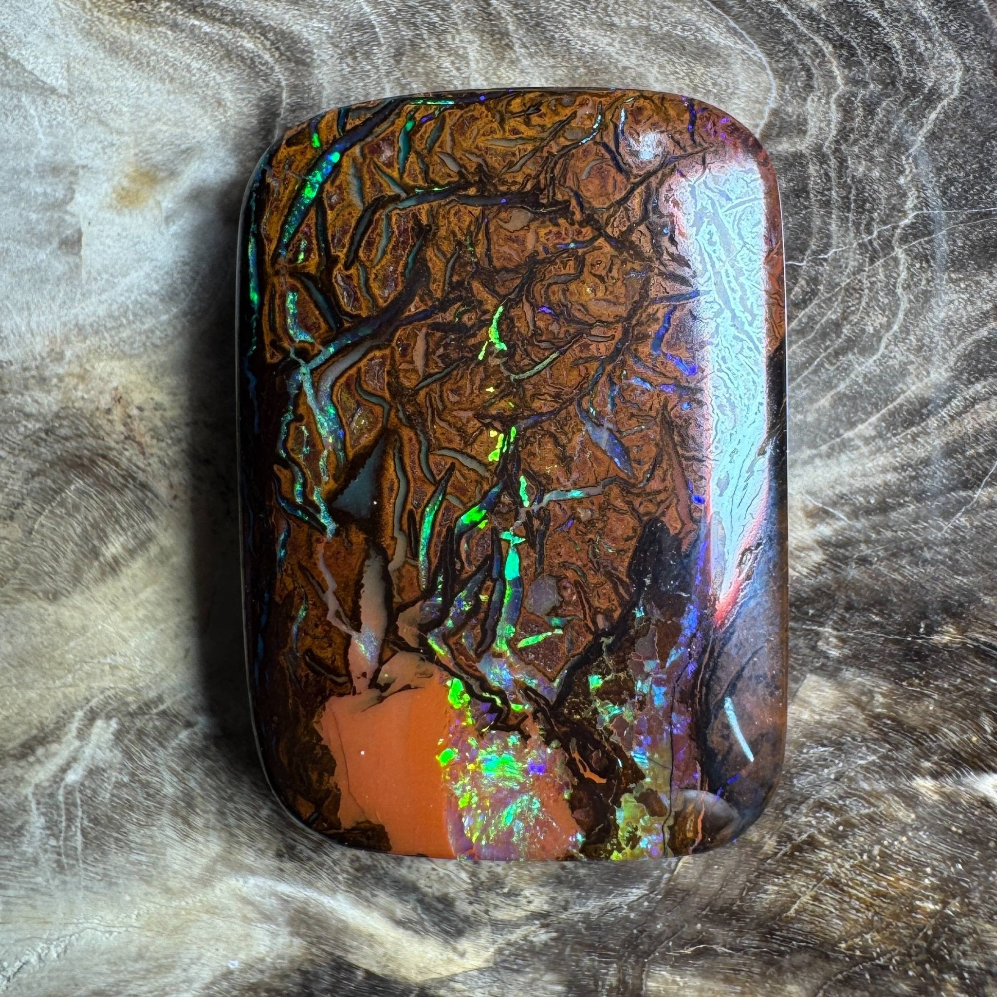 24.6ct Queensland Boulder Opal