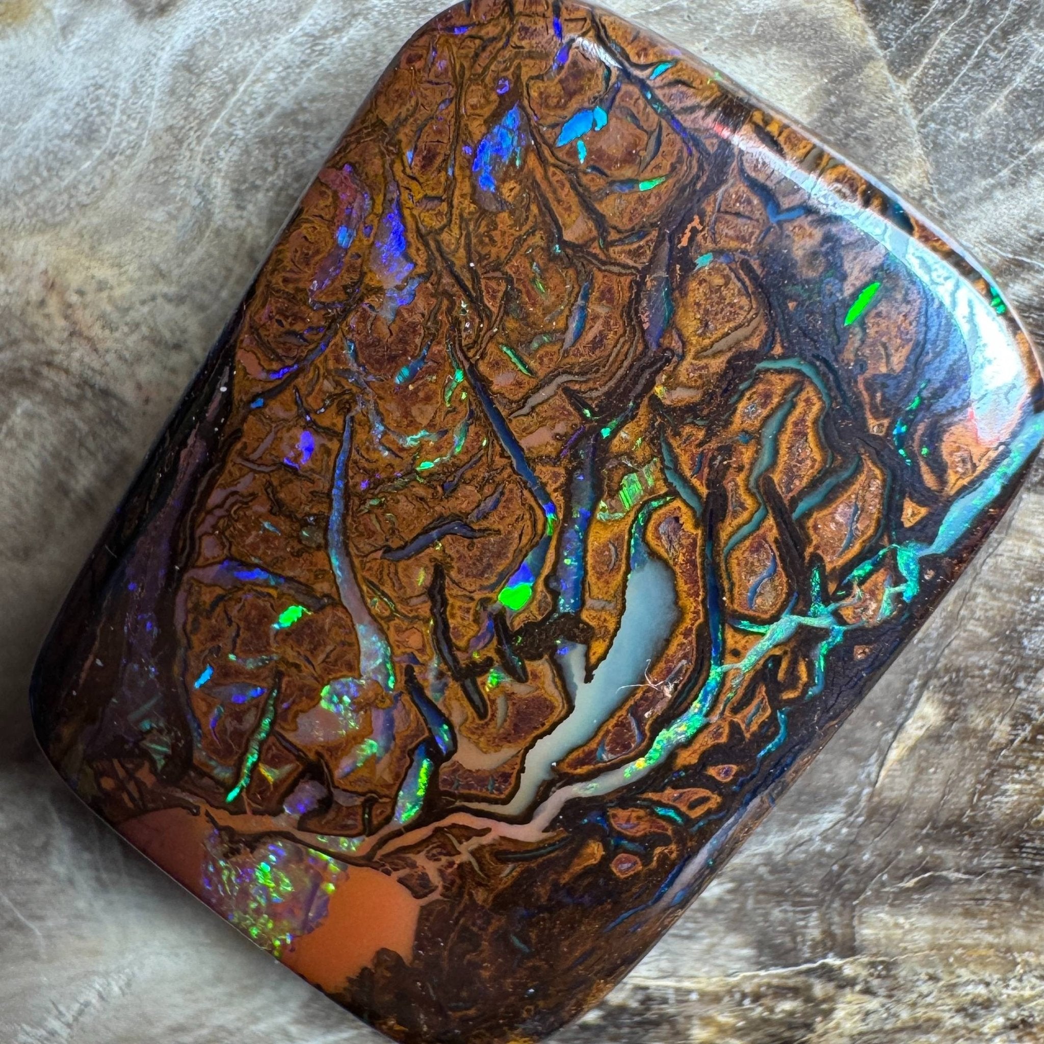 24.6ct Queensland Boulder Opal