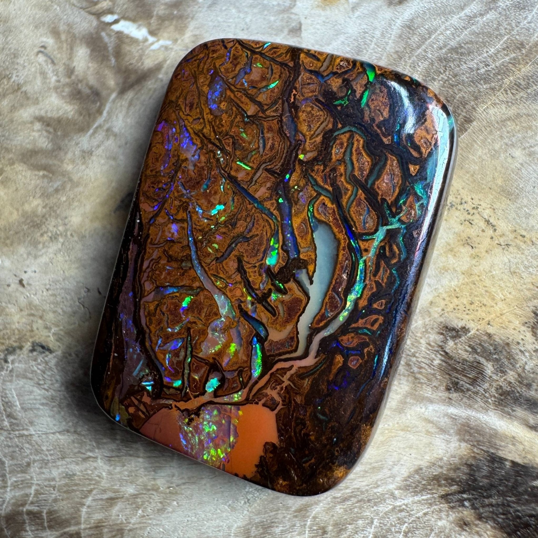 24.6ct Queensland Boulder Opal