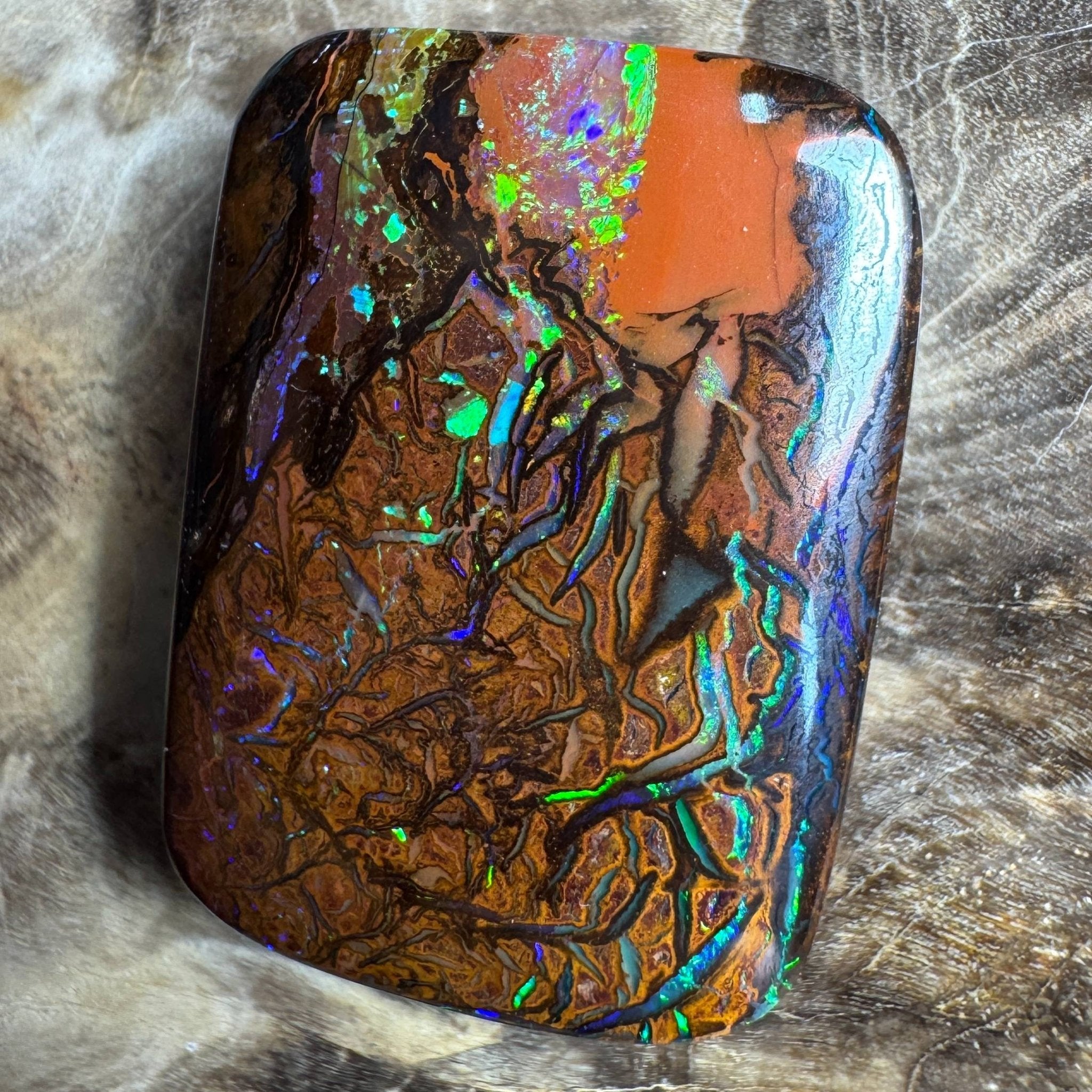 24.6ct Queensland Boulder Opal