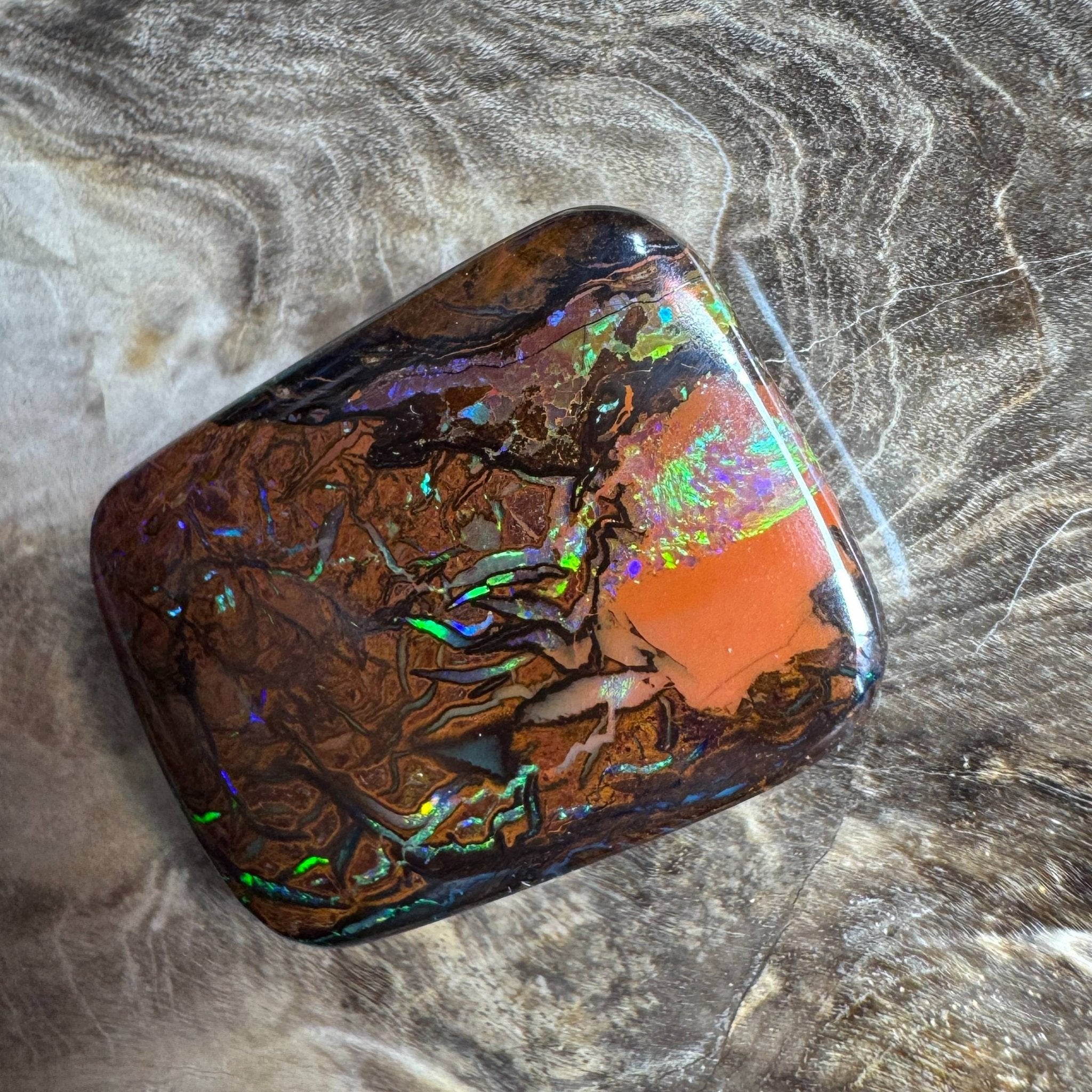 24.6ct Queensland Boulder Opal