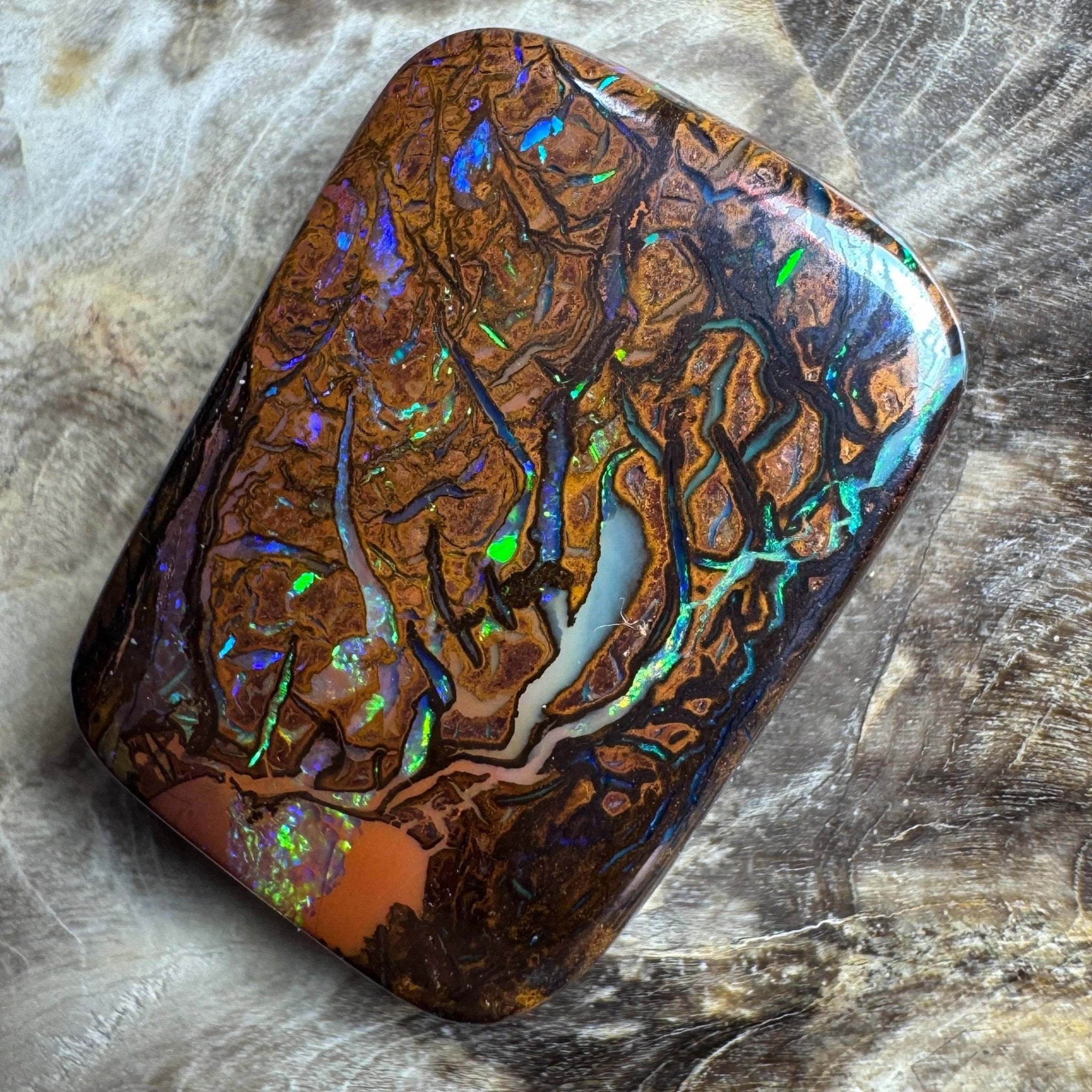 24.6ct Queensland Boulder Opal