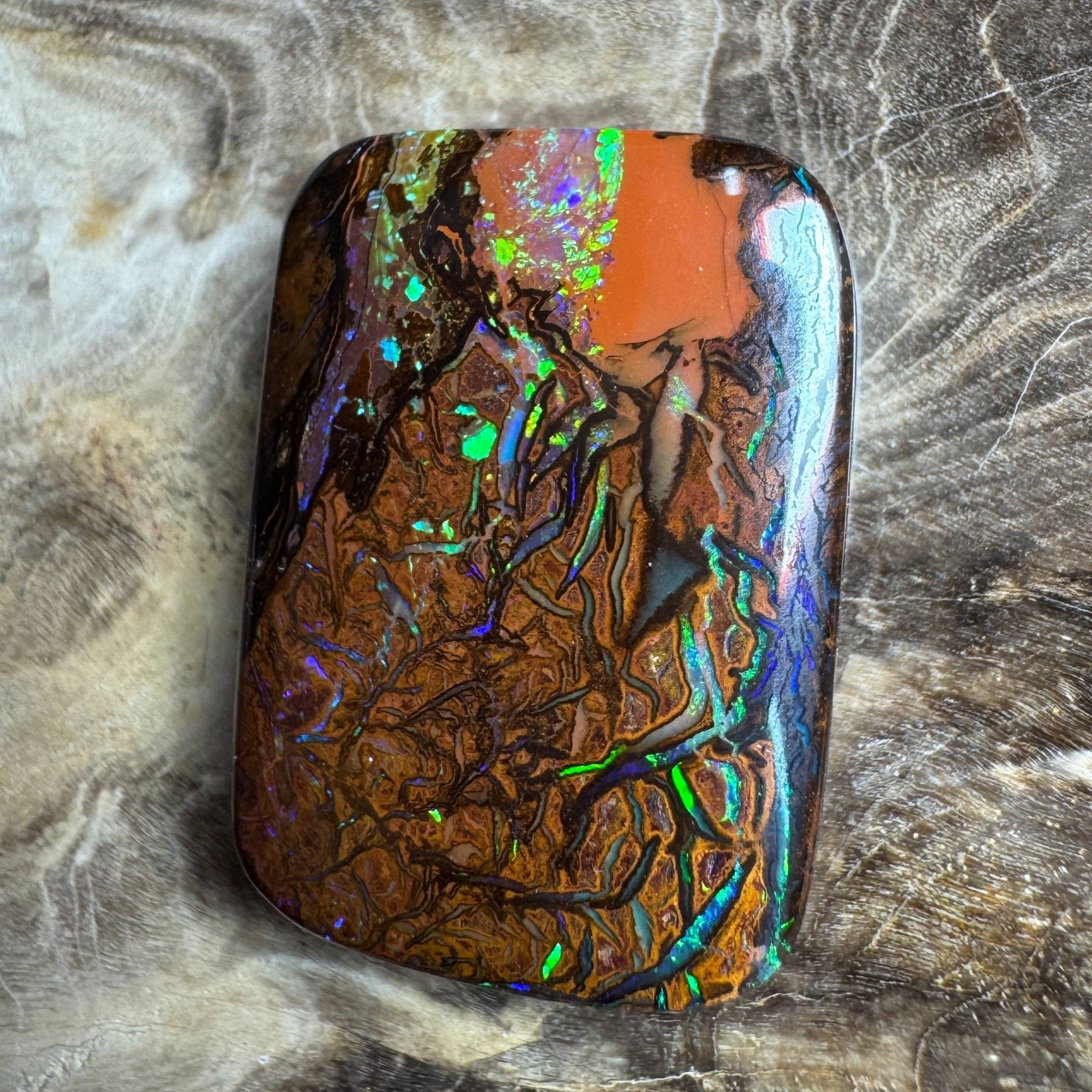 24.6ct Queensland Boulder Opal