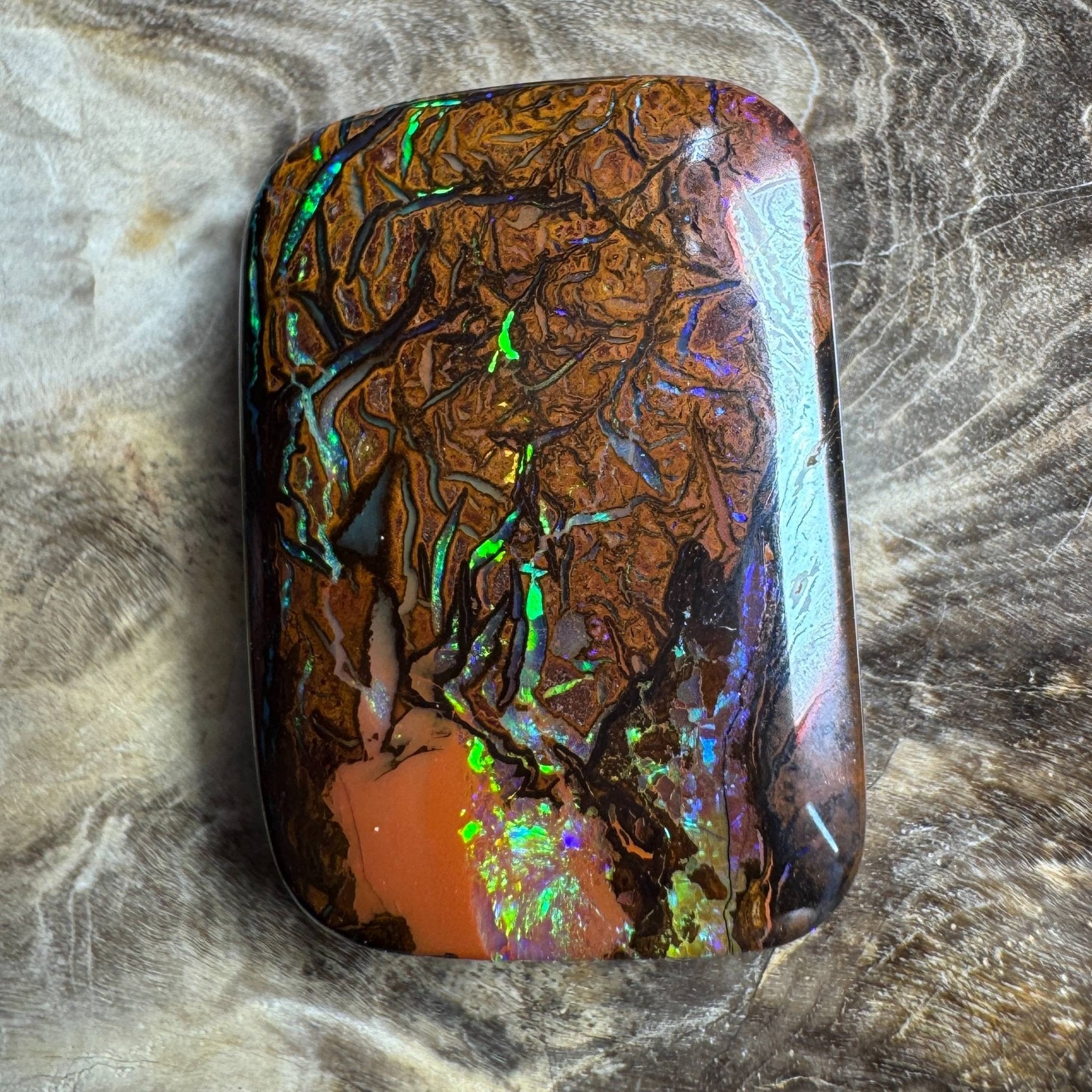 24.6ct Queensland Boulder Opal