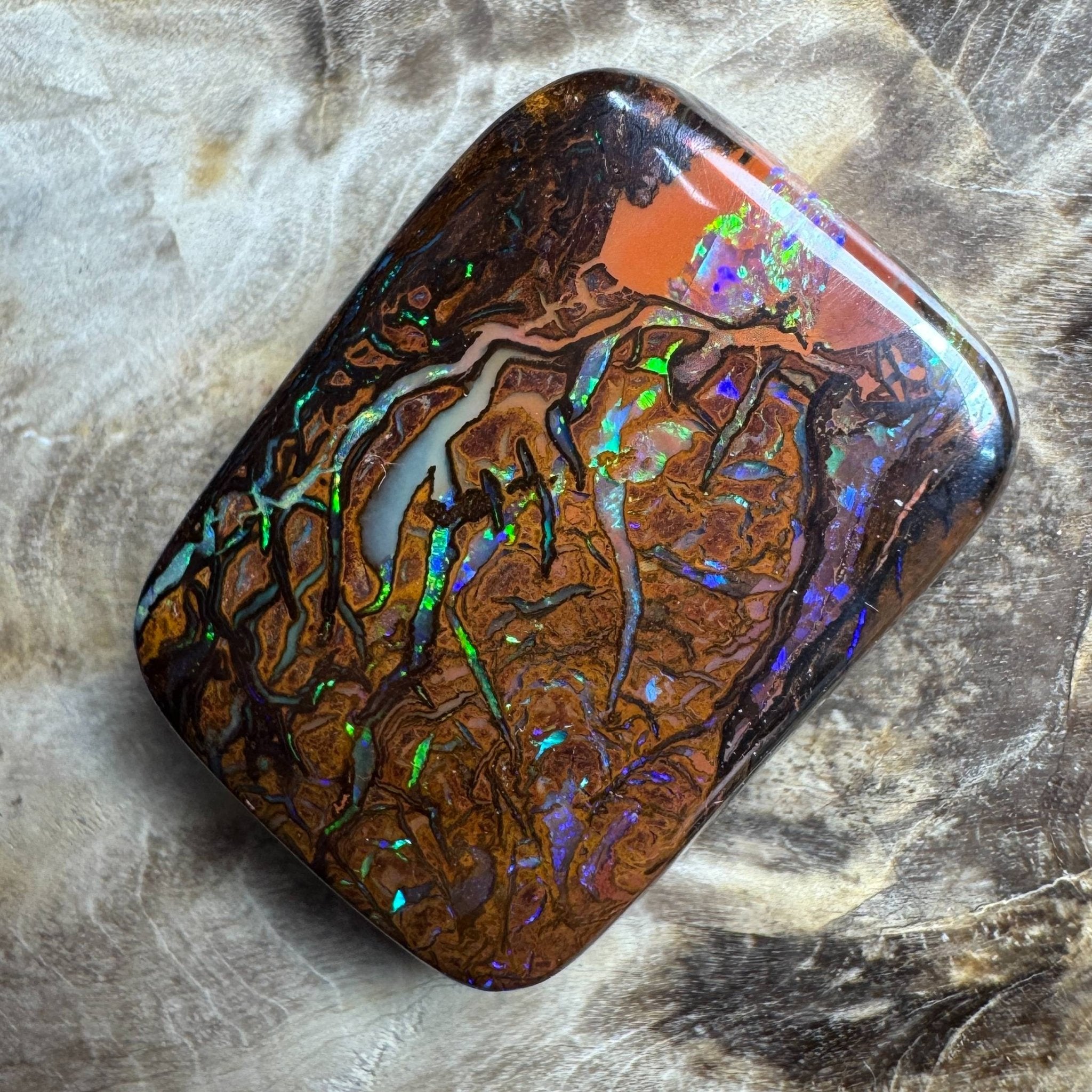24.6ct Queensland Boulder Opal