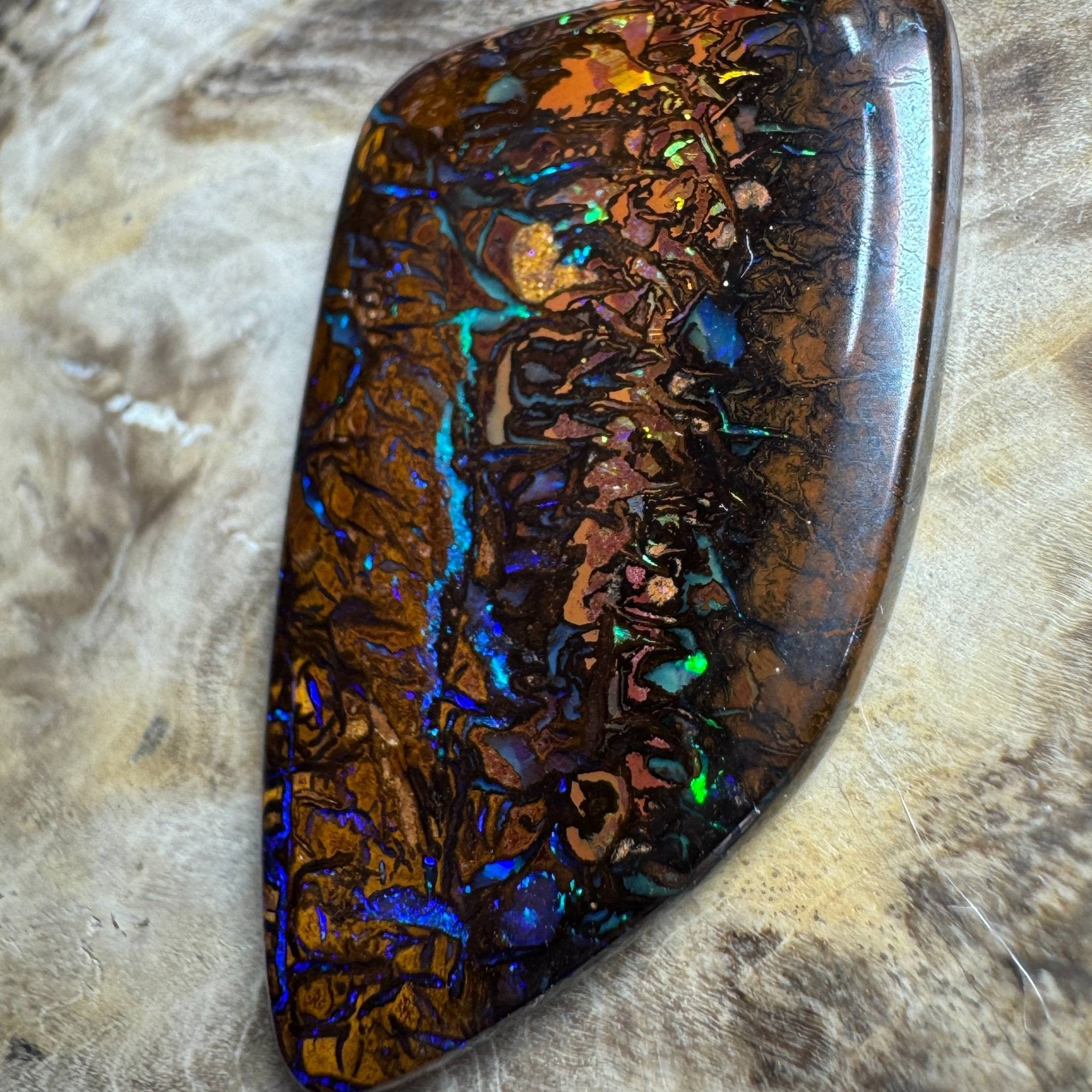 24.7ct Queensland Boulder Opal