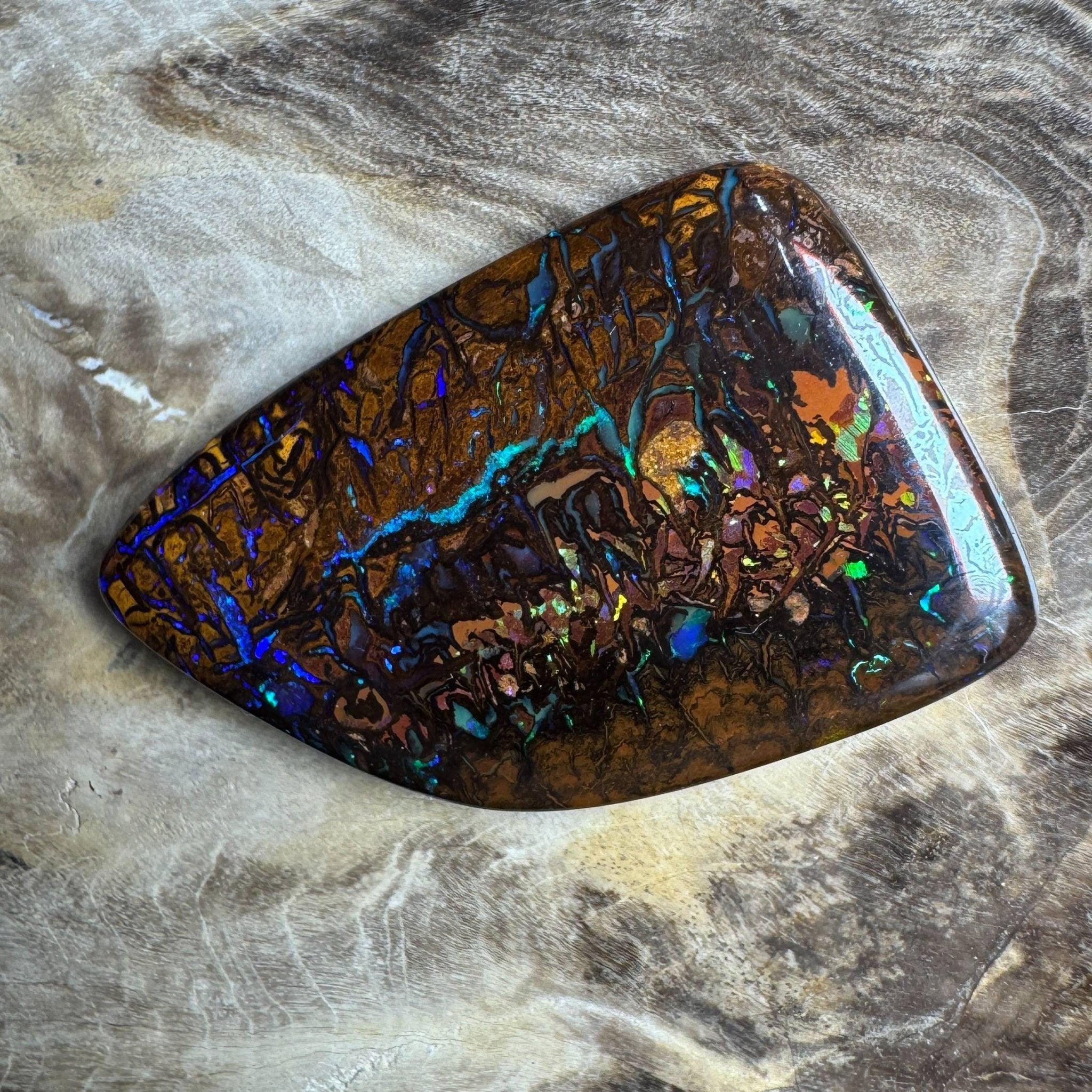 24.7ct Queensland Boulder Opal