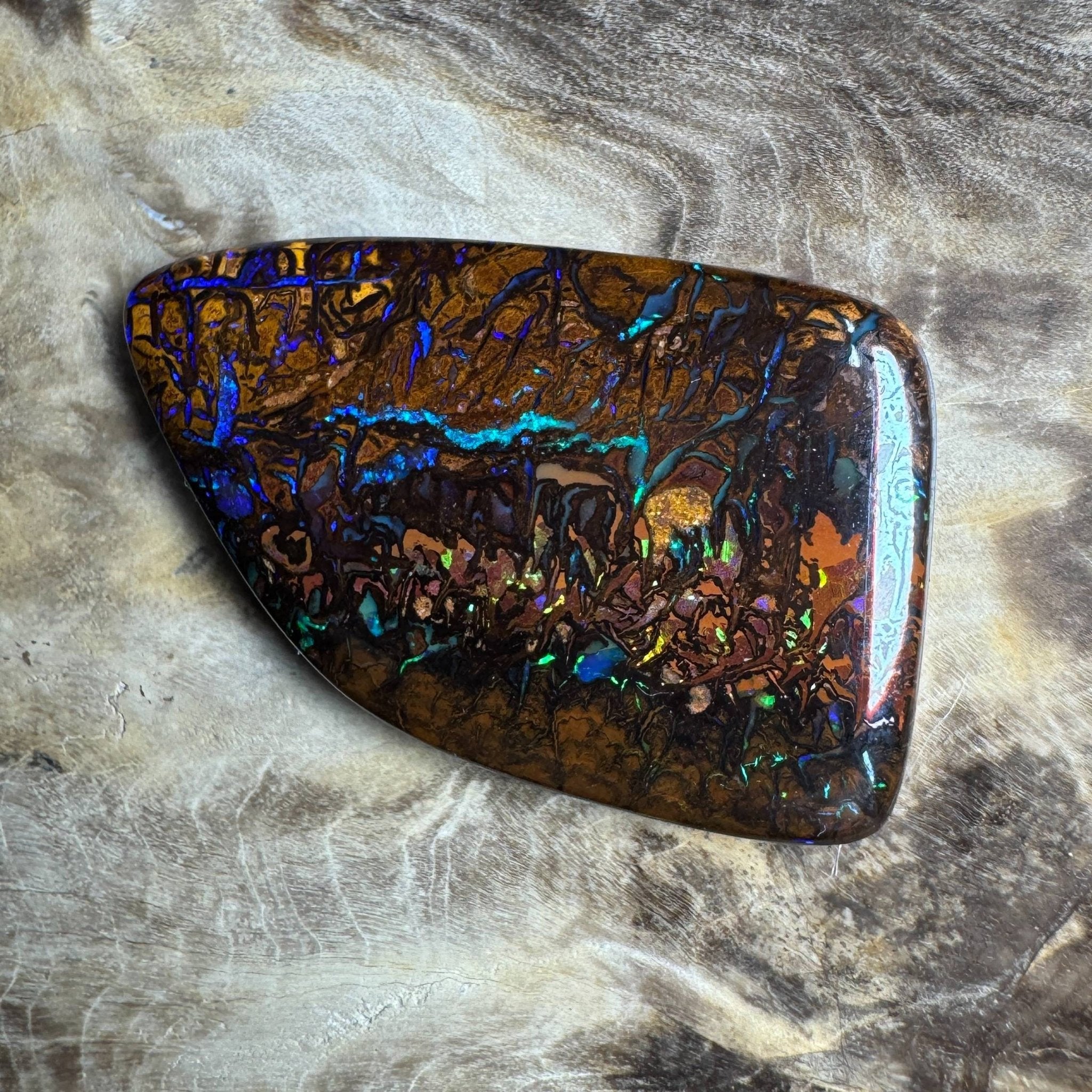 24.7ct Queensland Boulder Opal