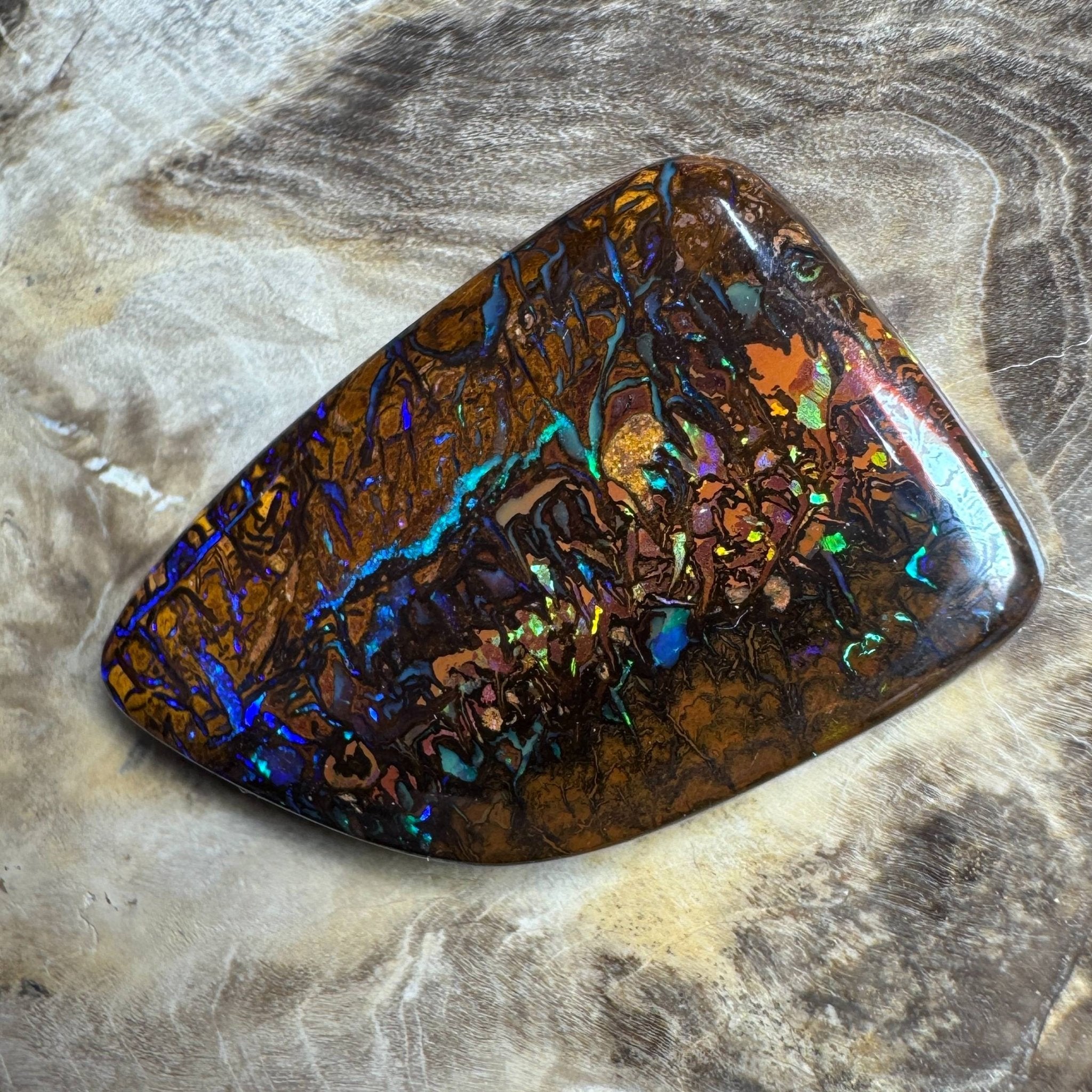 24.7ct Queensland Boulder Opal