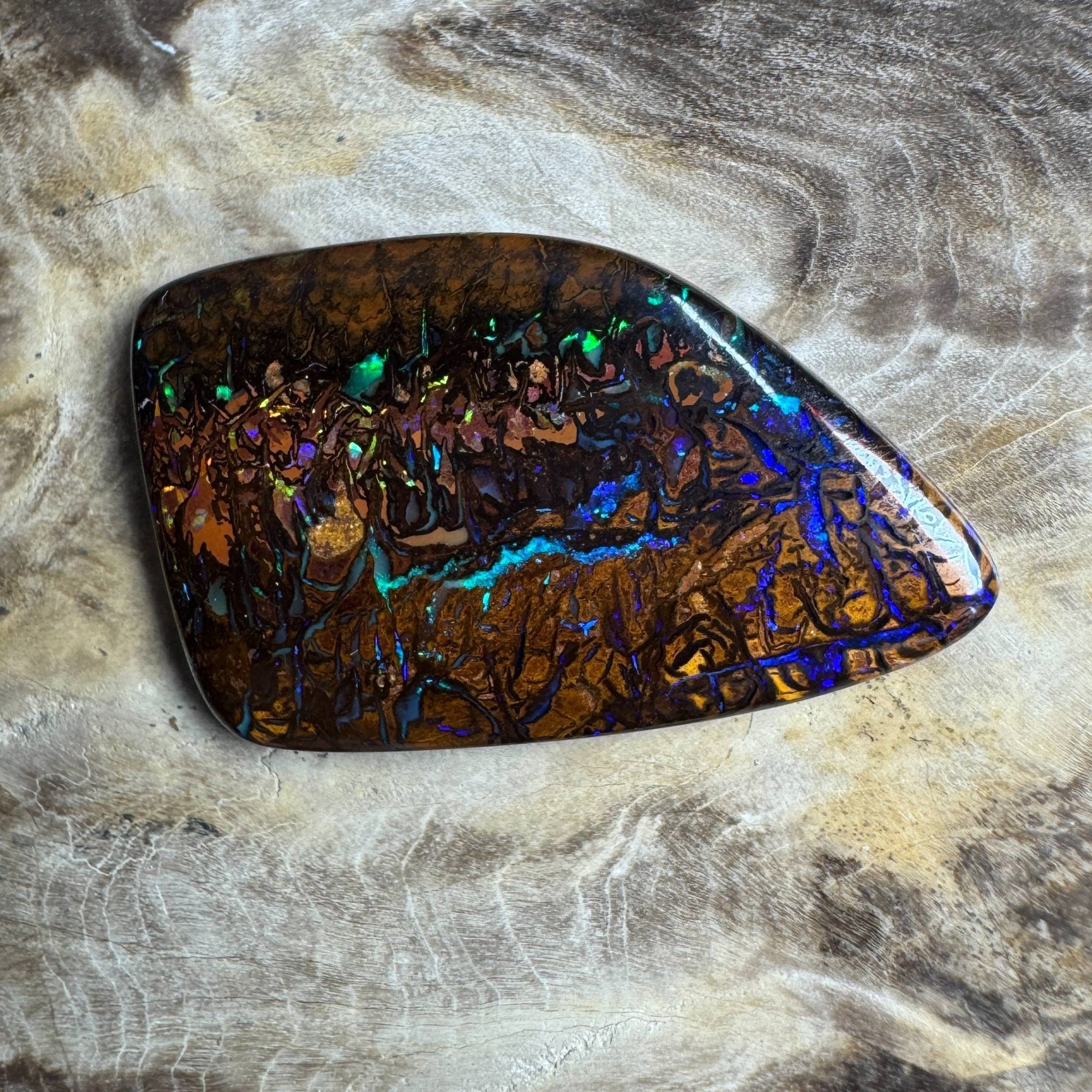 24.7ct Queensland Boulder Opal