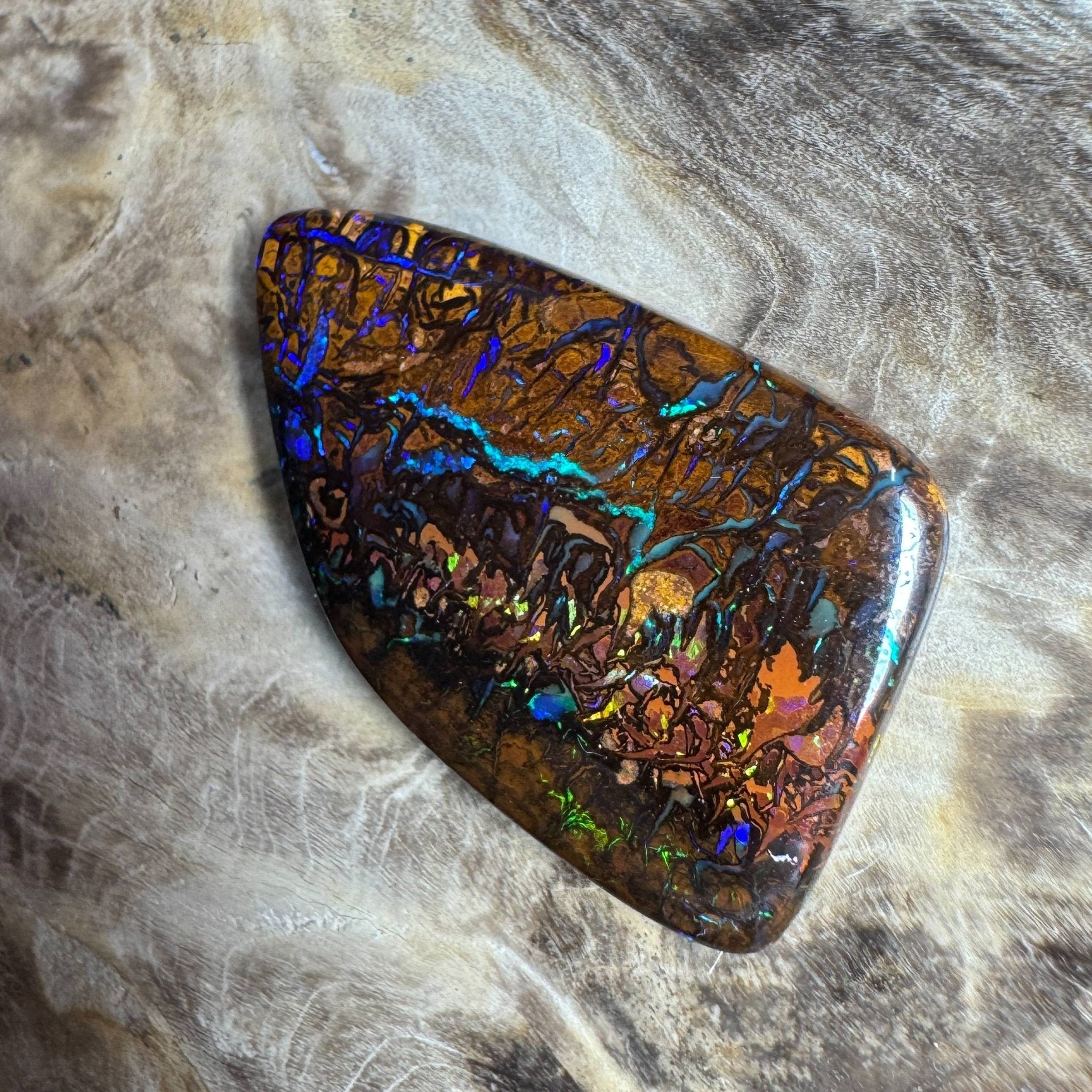 24.7ct Queensland Boulder Opal