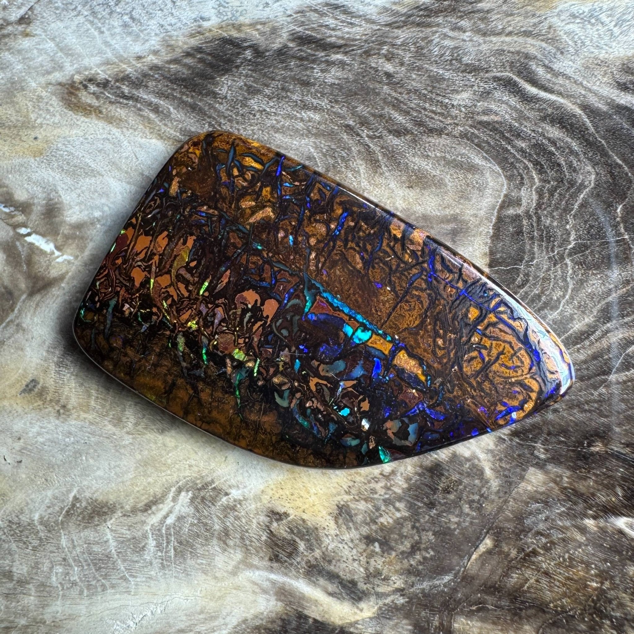 24.7ct Queensland Boulder Opal